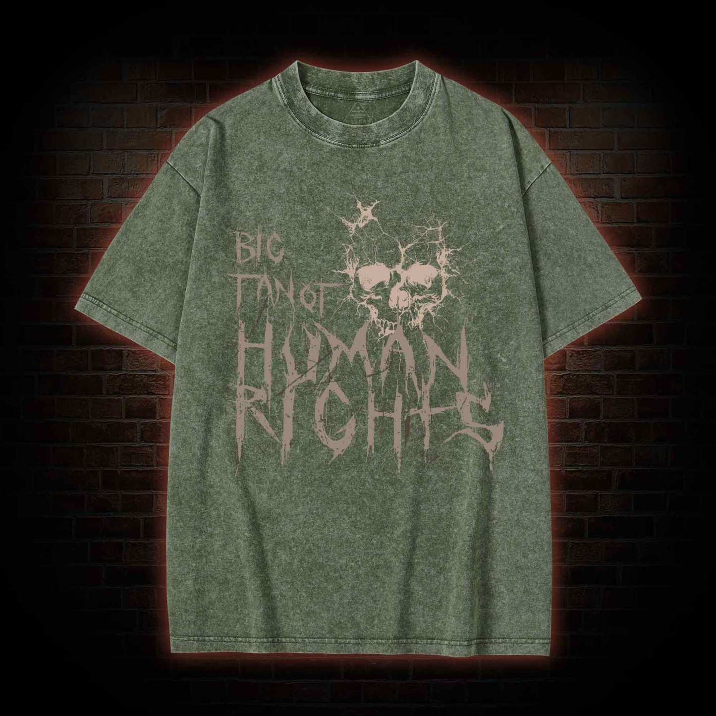 Big Fan of Human Rights Washed T-shirt