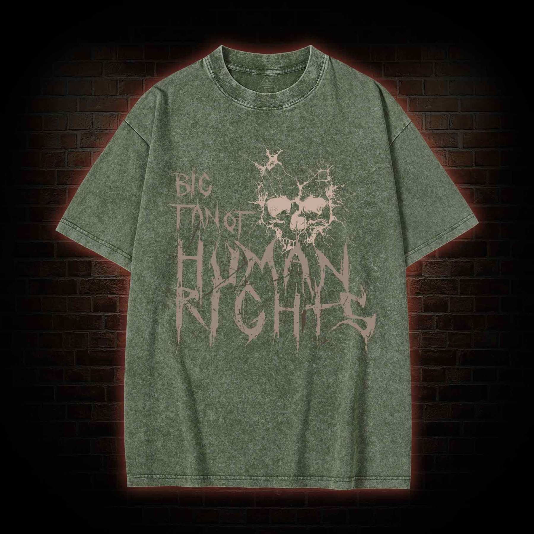 Big Fan of Human Rights Washed T-shirt