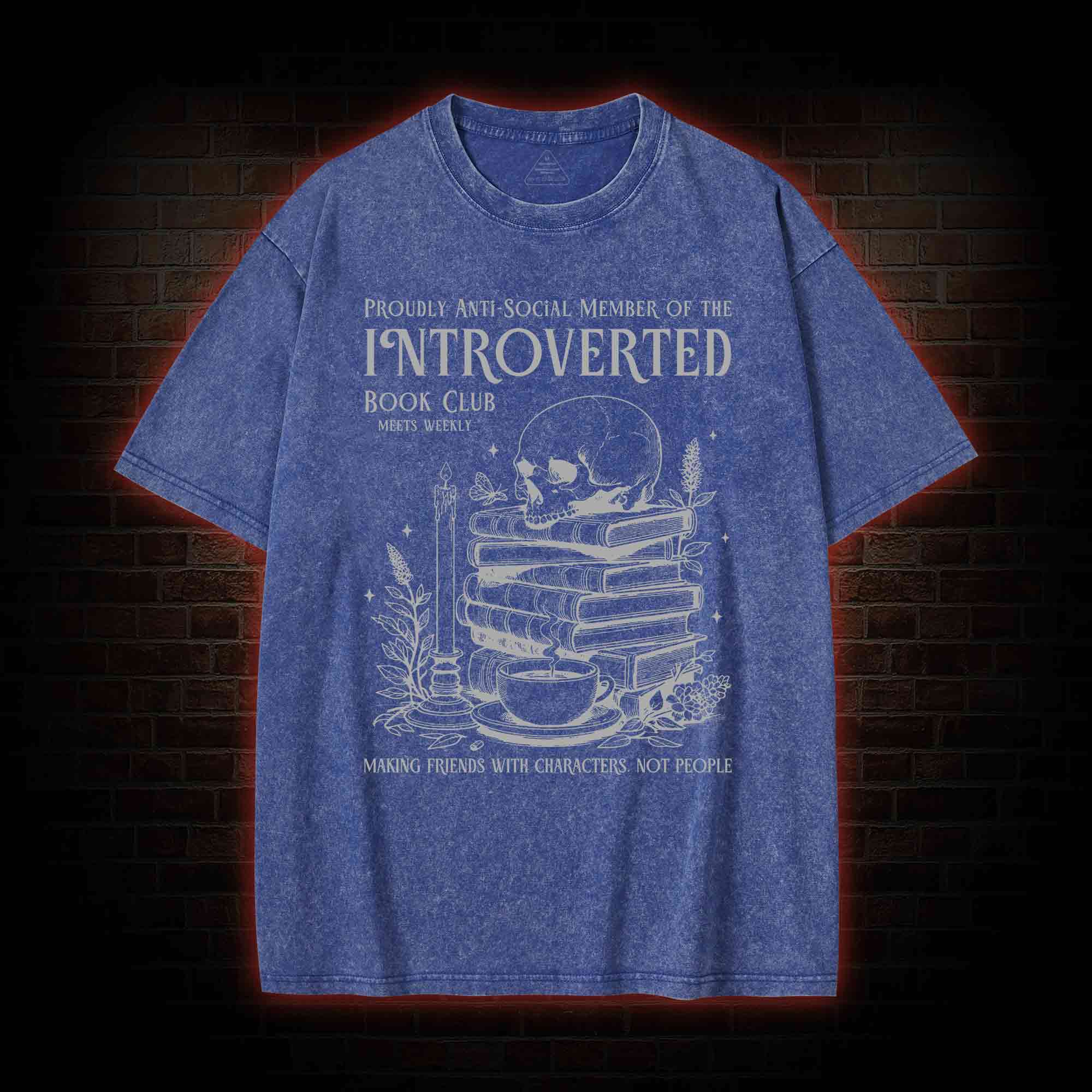 Introverted Book Club Washed T-shirt