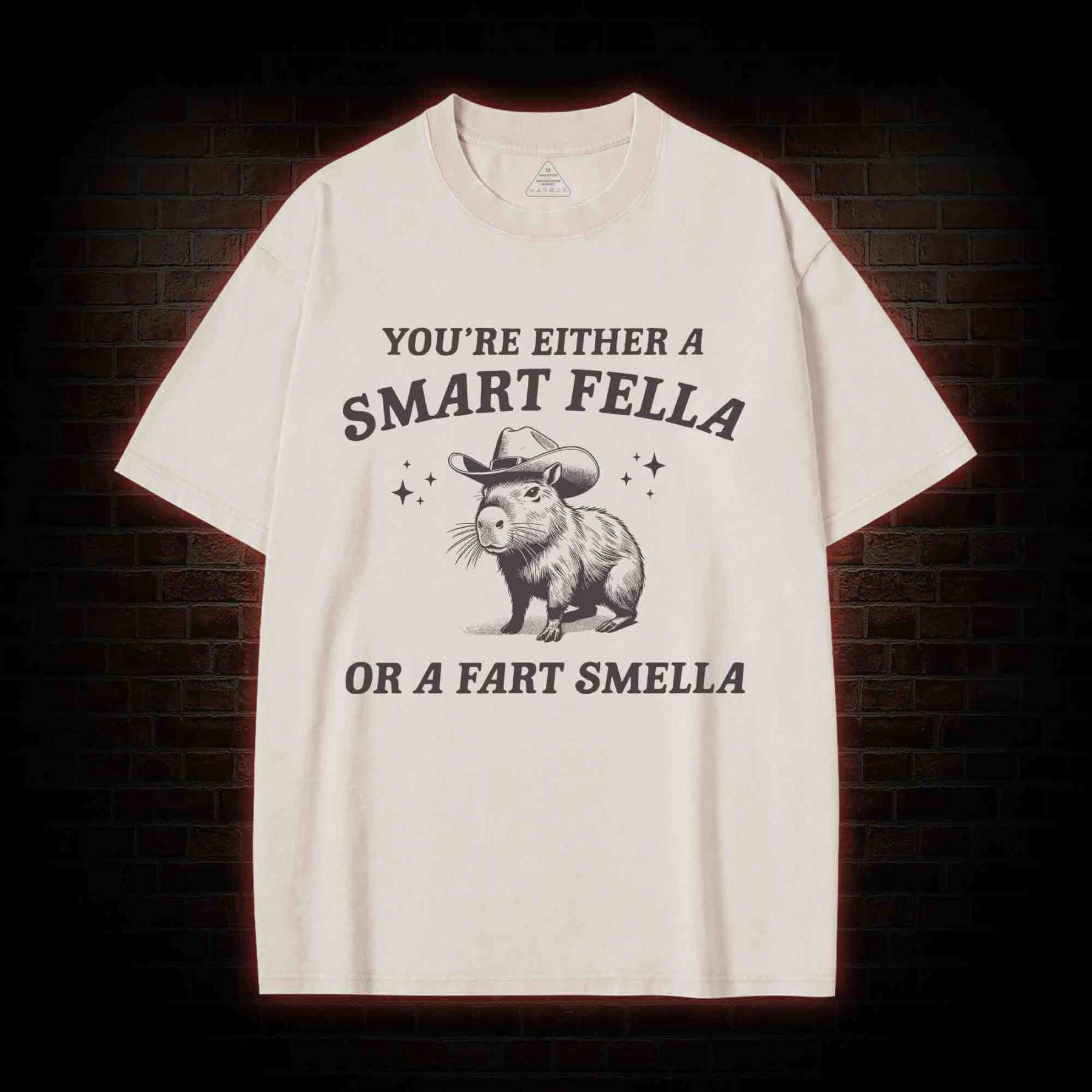 Smart Fella Or Fart Smella Washed T-shirt