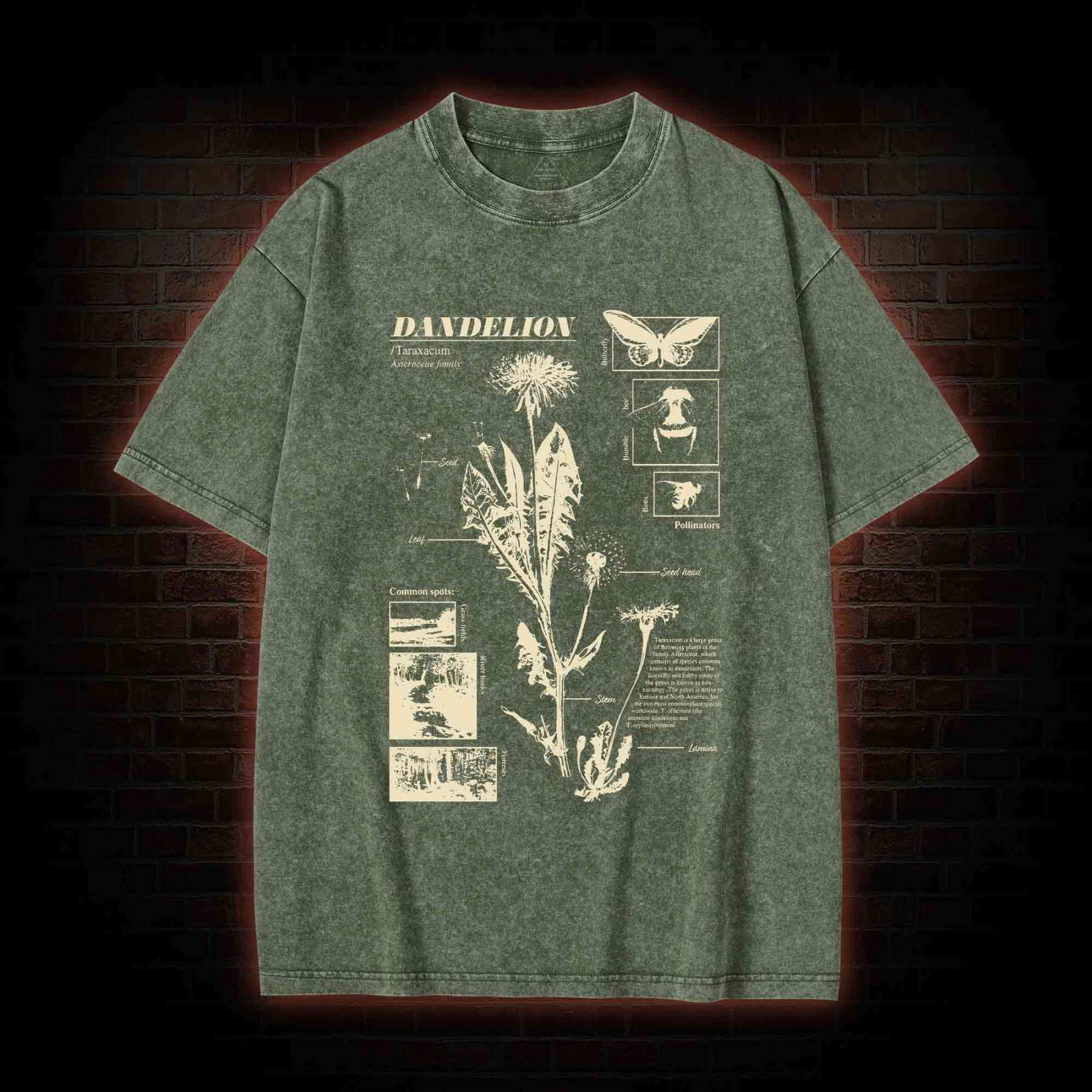 Dandelion Washed T-shirt