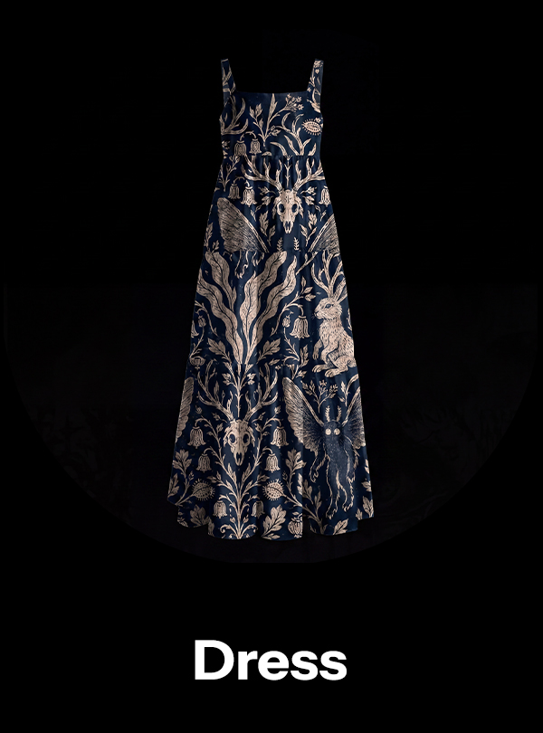 dress/skirt
