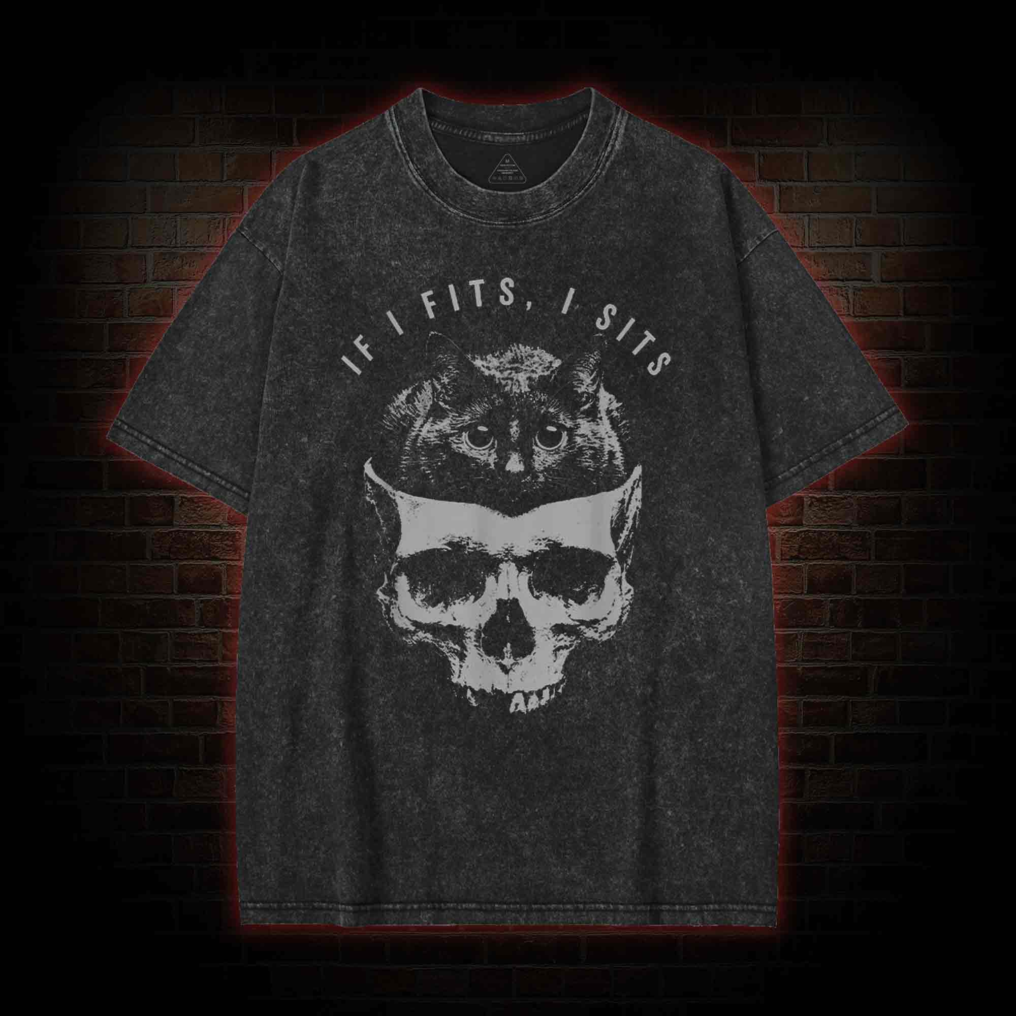 If I Fits I Sits Washed T-shirt