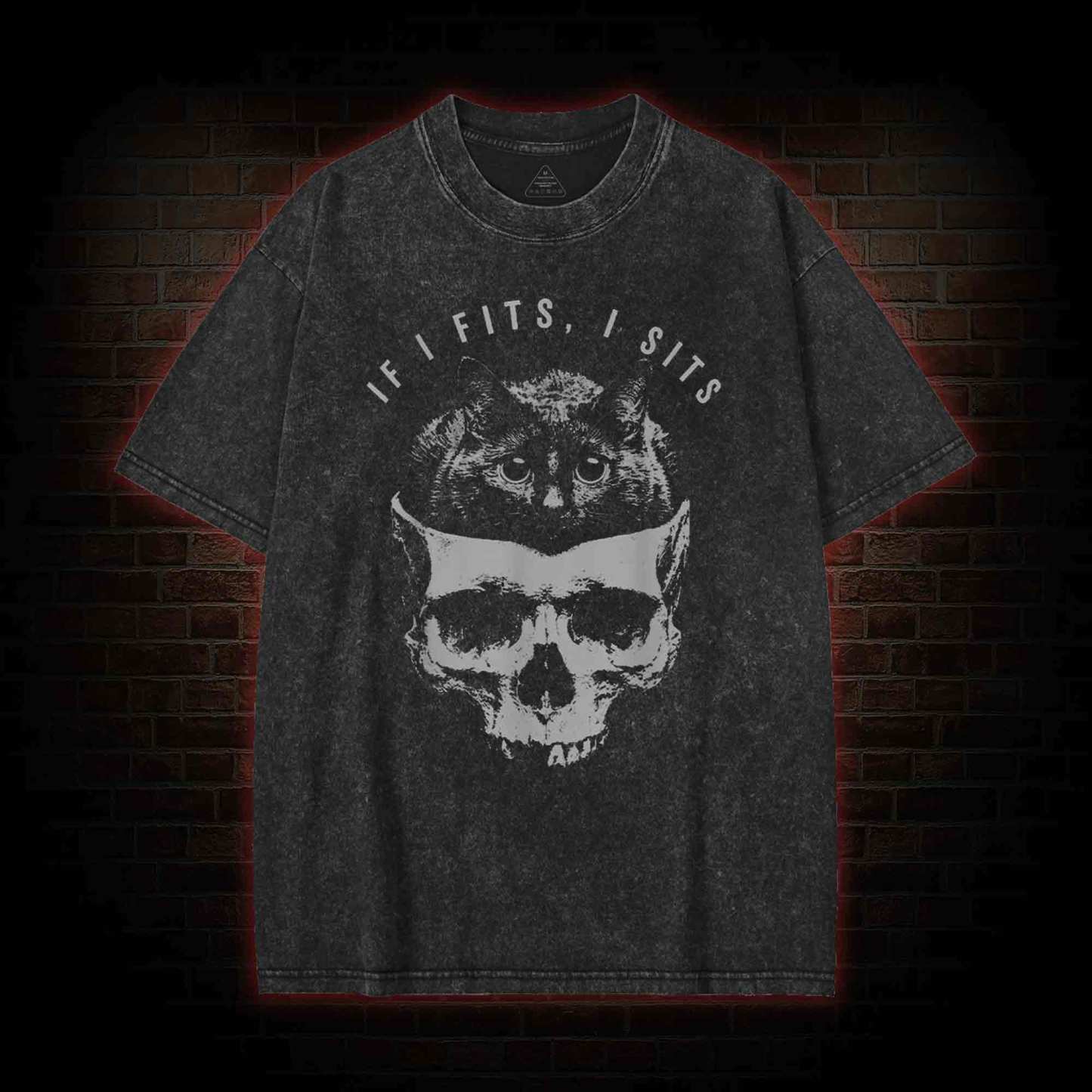 If I Fits I Sits Washed T-shirt