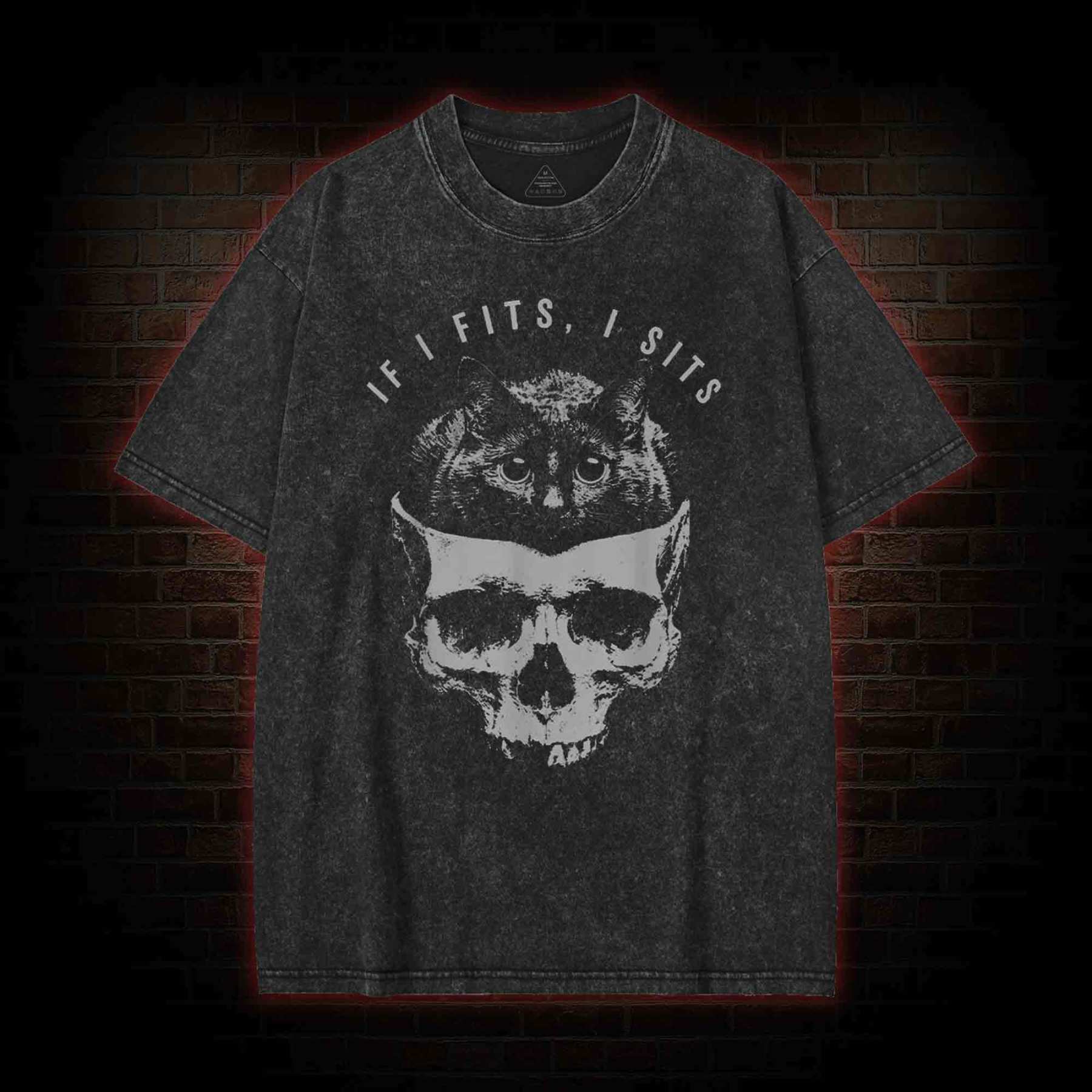 If I Fits I Sits Washed T-shirt
