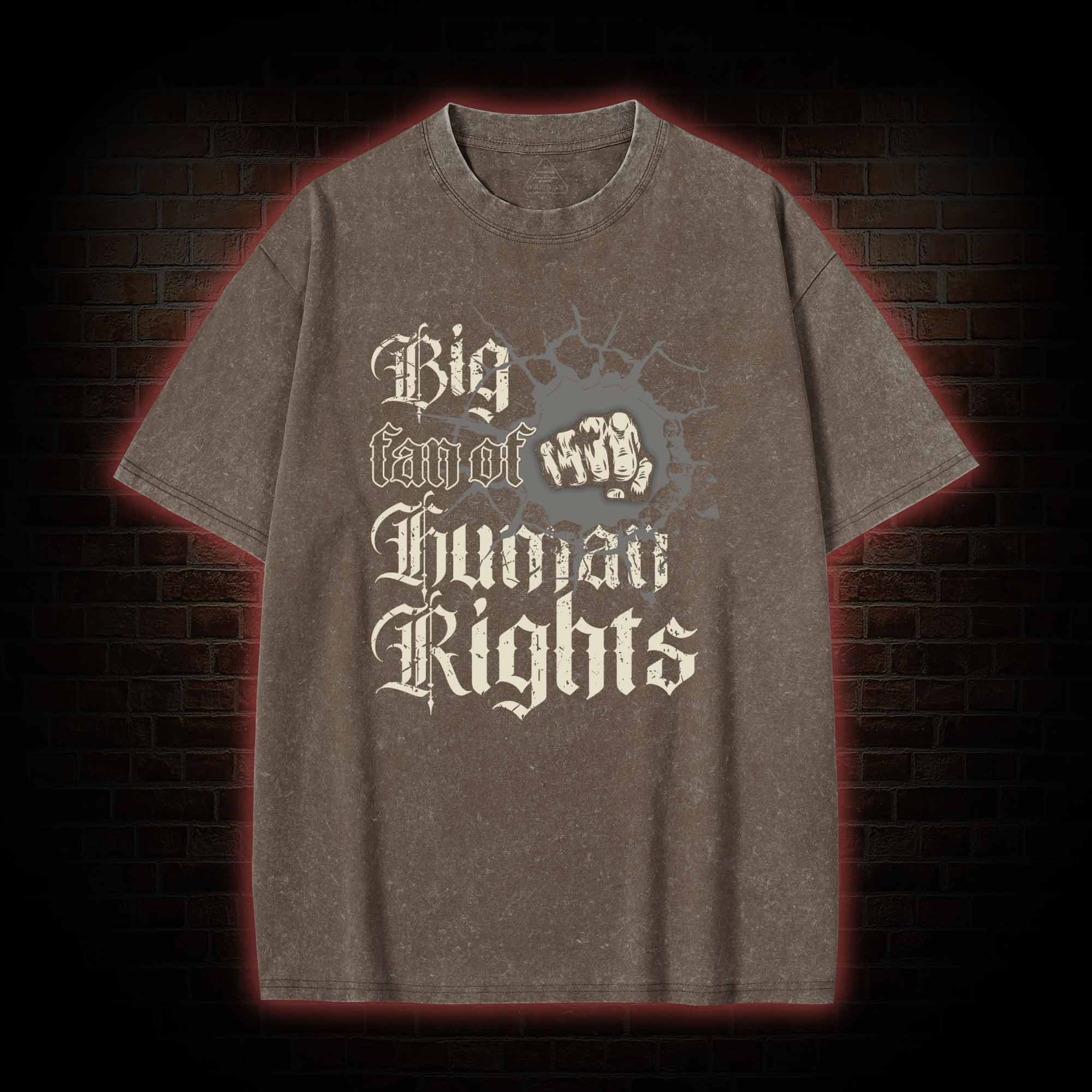 Vintage Big Fan of Human Rights Washed T-shirt