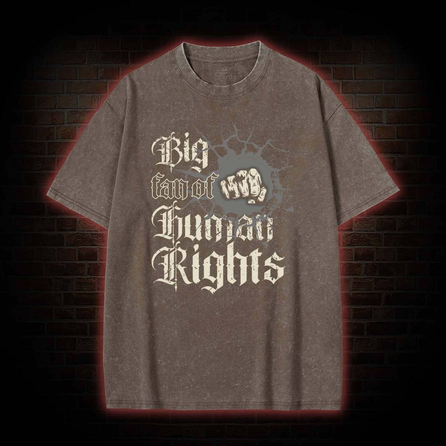 Vintage Big Fan of Human Rights Washed T-shirt