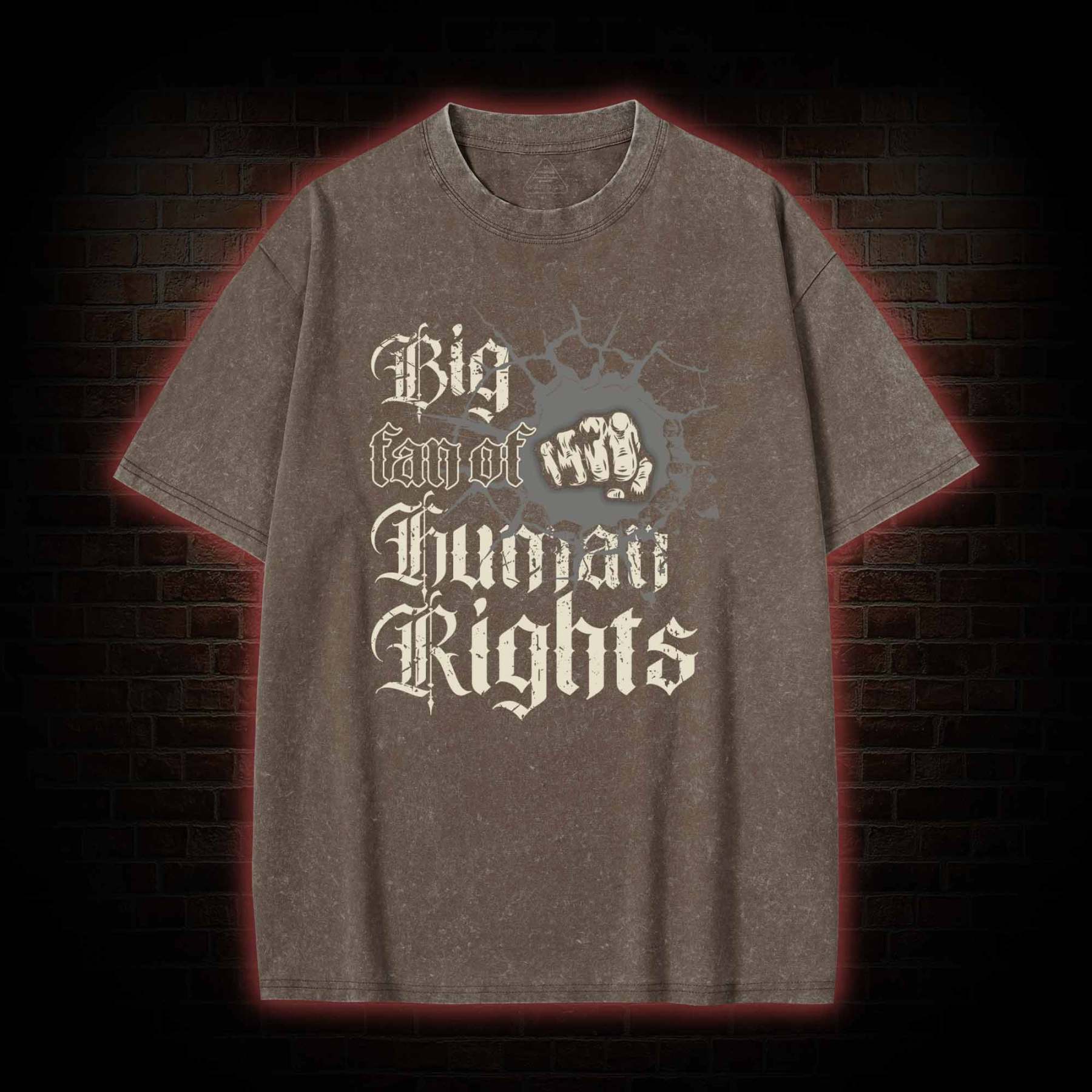 Vintage Big Fan of Human Rights Washed T-shirt