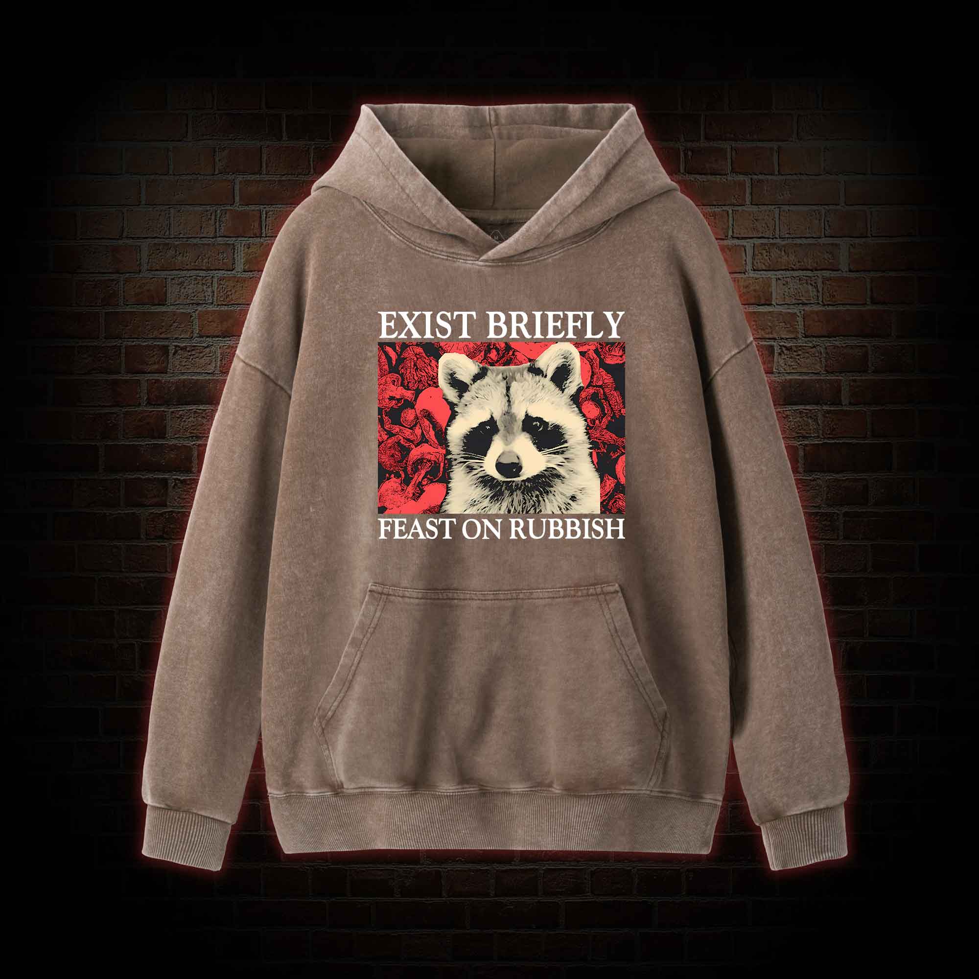 Exist Briefly Feast On Rubbish Washed Hoodie