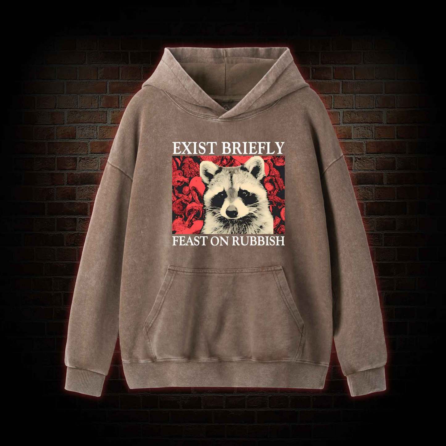 Exist Briefly Feast On Rubbish Washed Hoodie