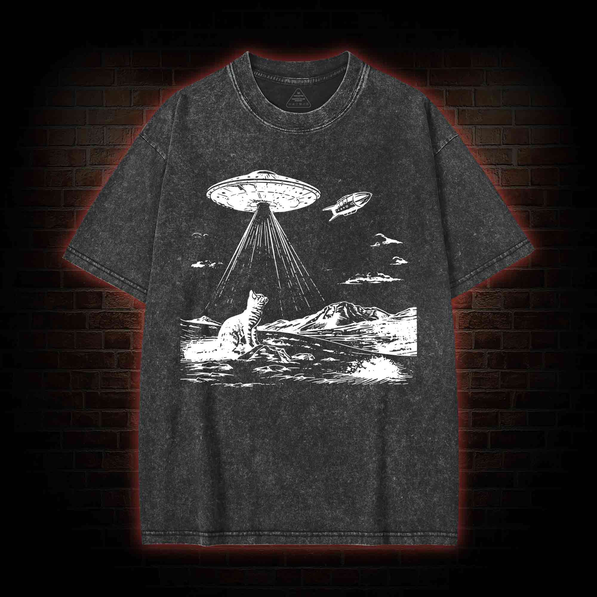 Ufo Cat Washed T-shirt