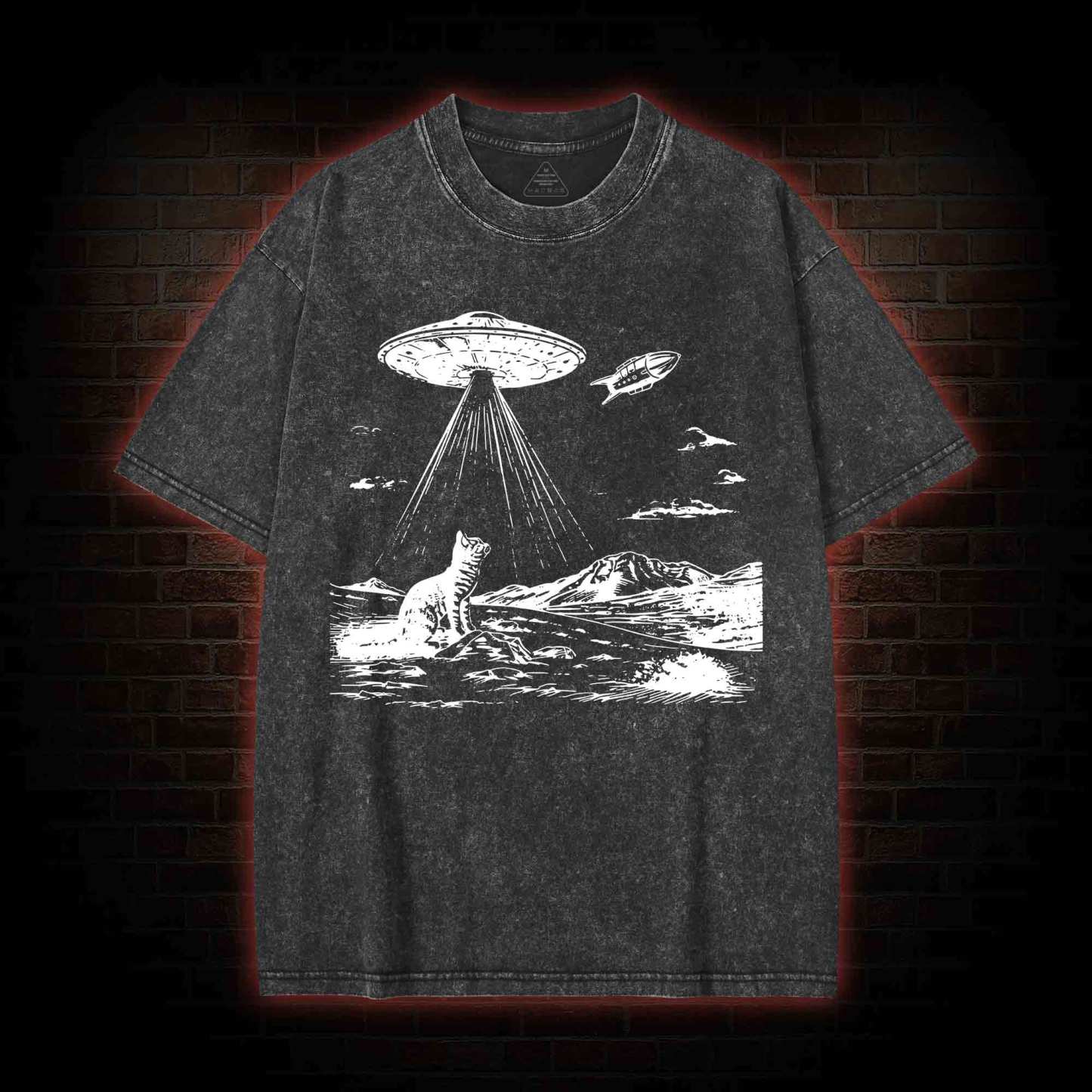 Ufo Cat Washed T-shirt