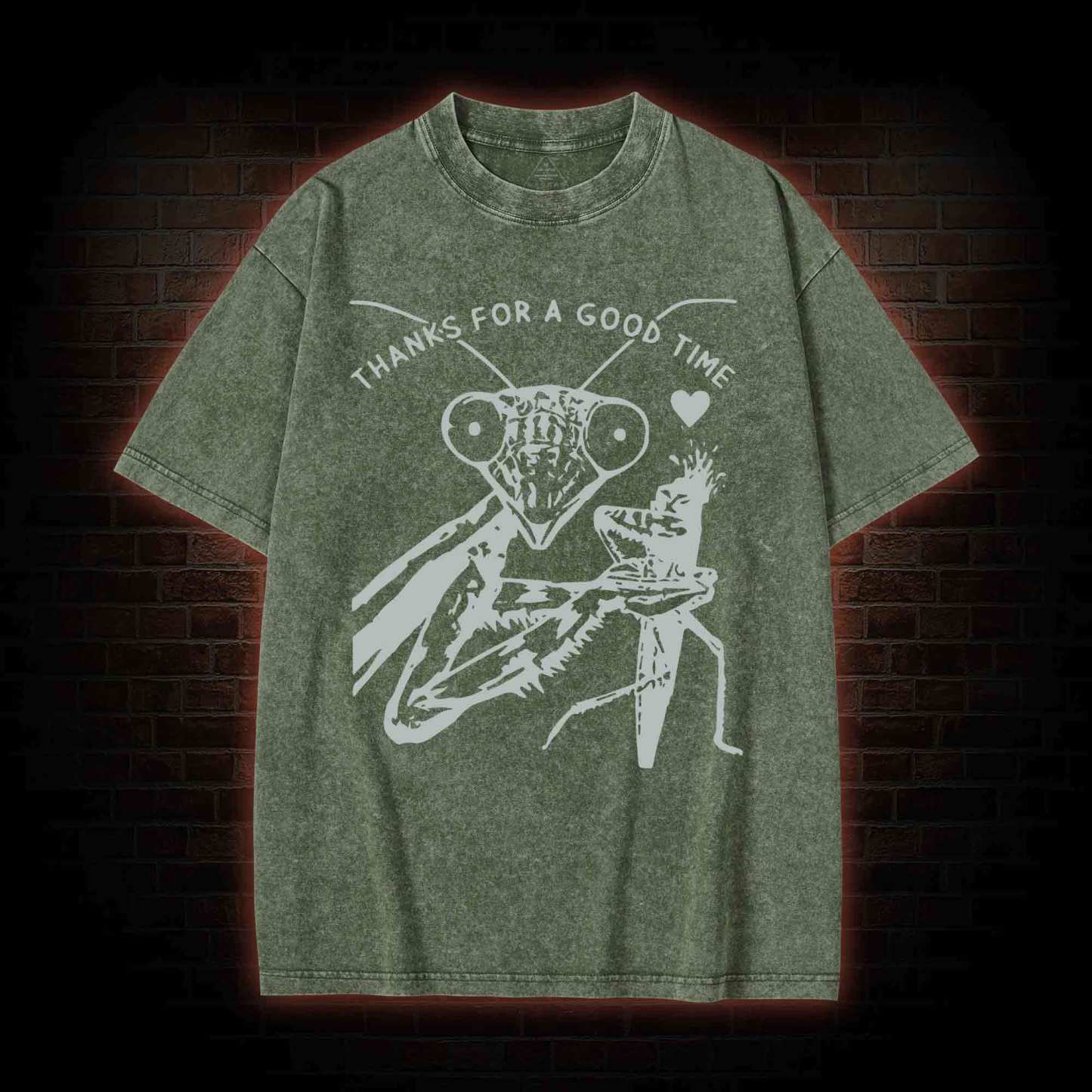 Thanks For A Good Time Washed T-shirt