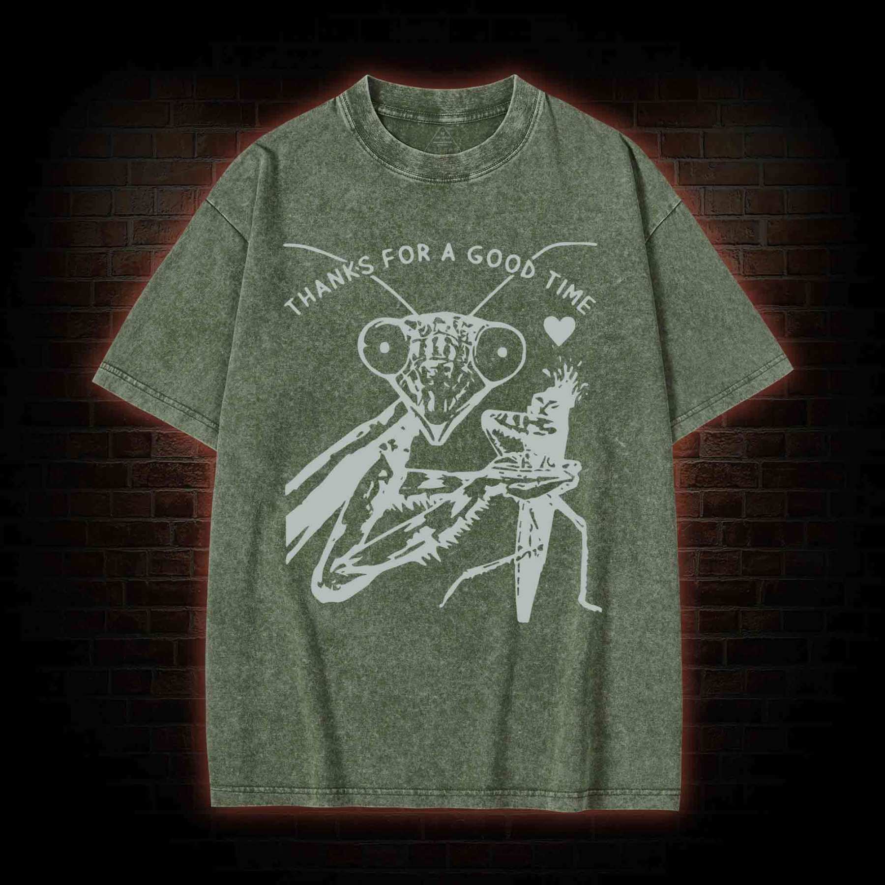 Thanks For A Good Time Washed T-shirt