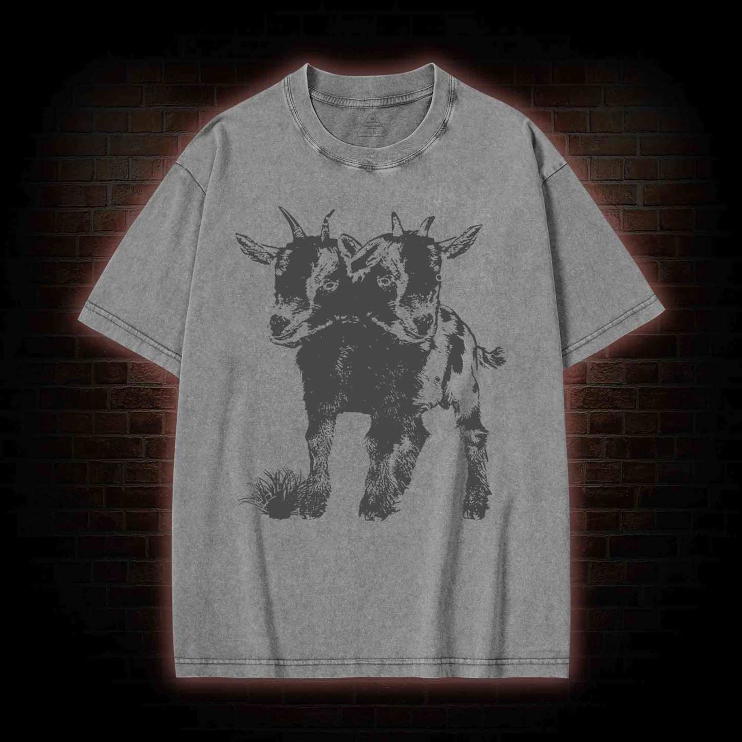 Two Headed Goat Washed T-shirt