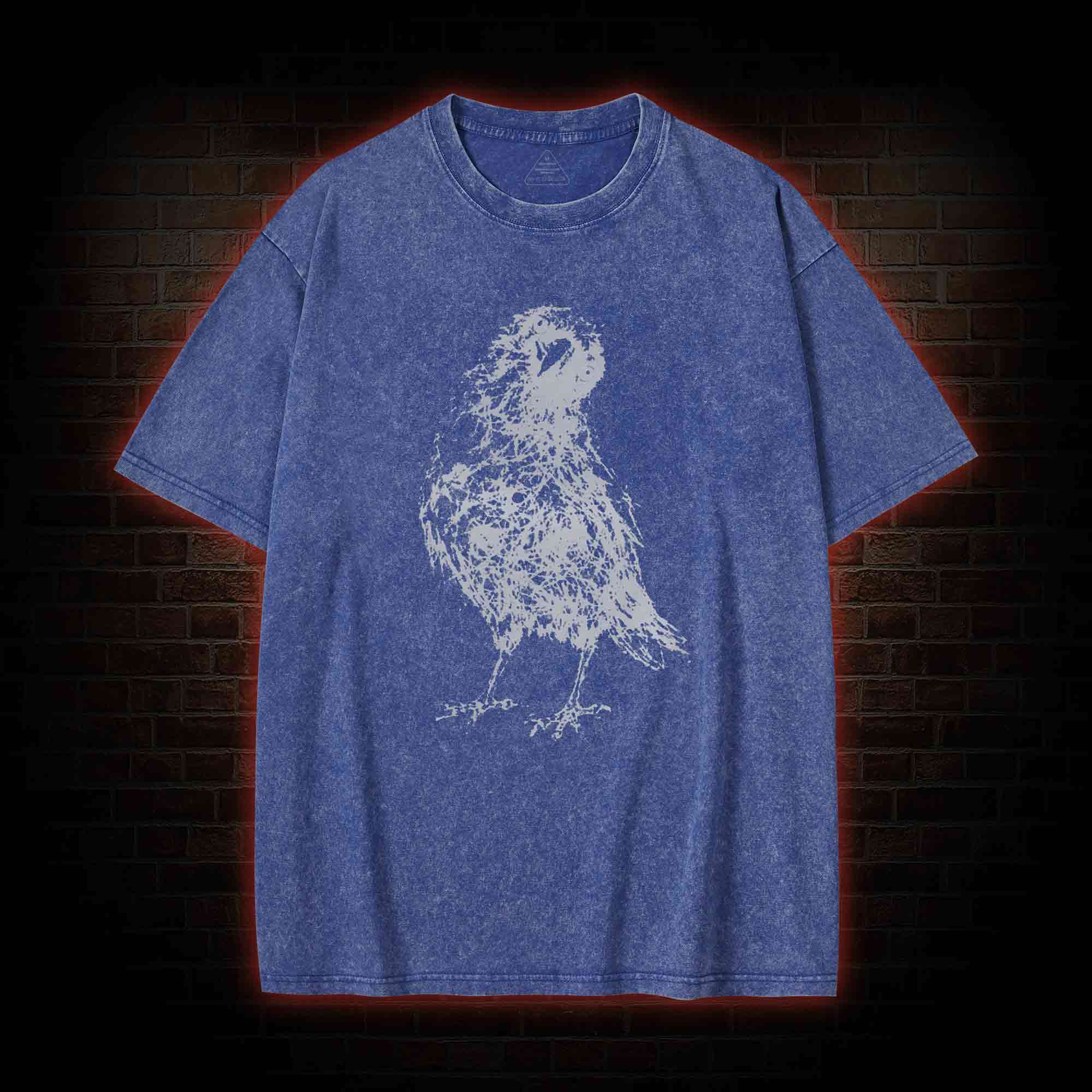 Raven Washed T-shirt