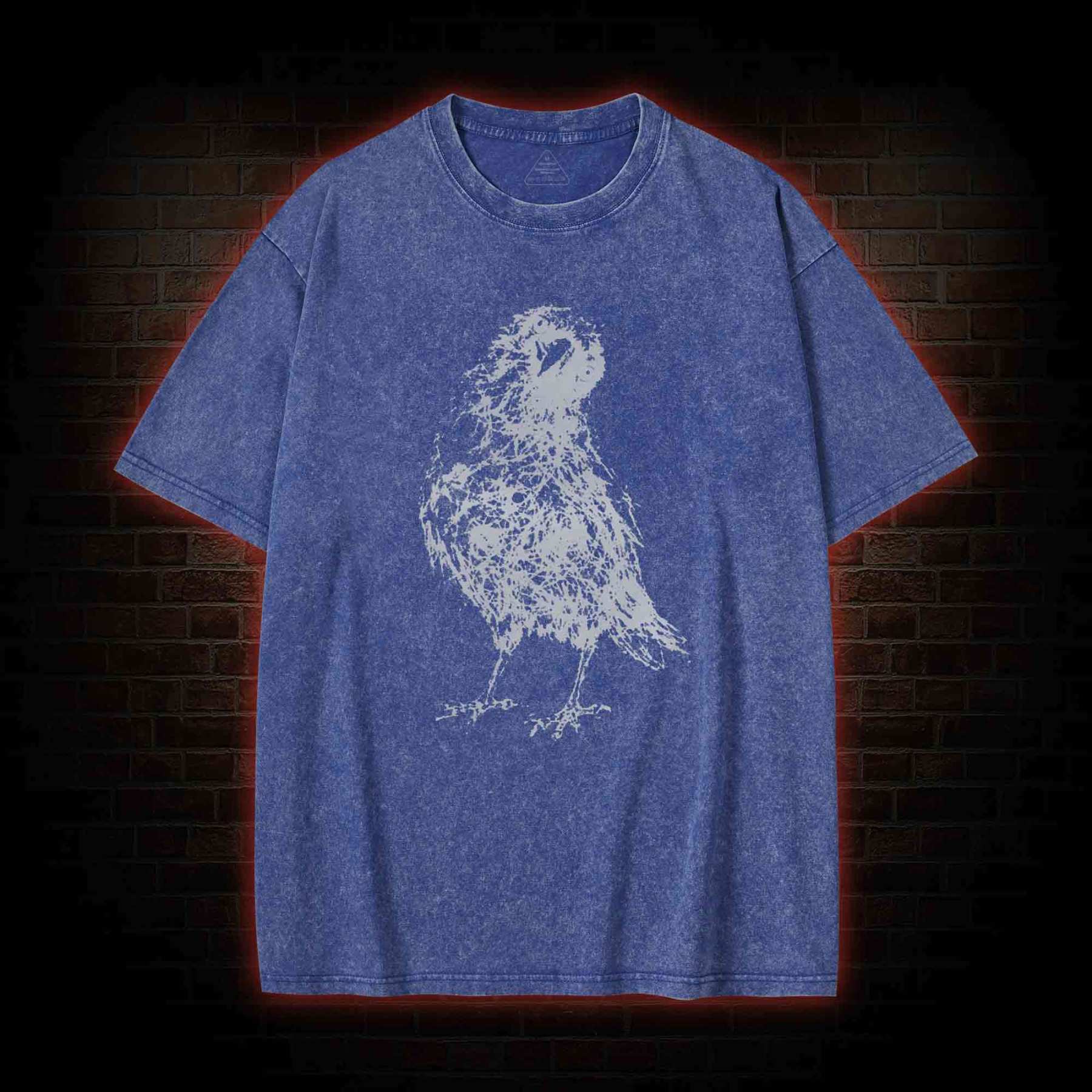 Raven Washed T-shirt