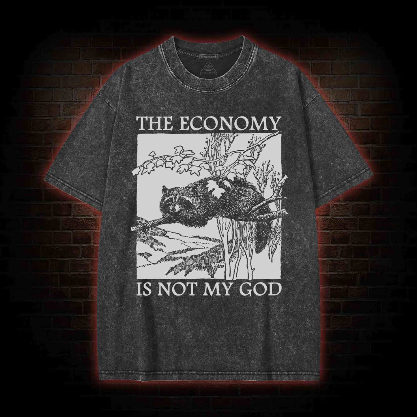 The Economy Is Not My God Washed T-Shirt