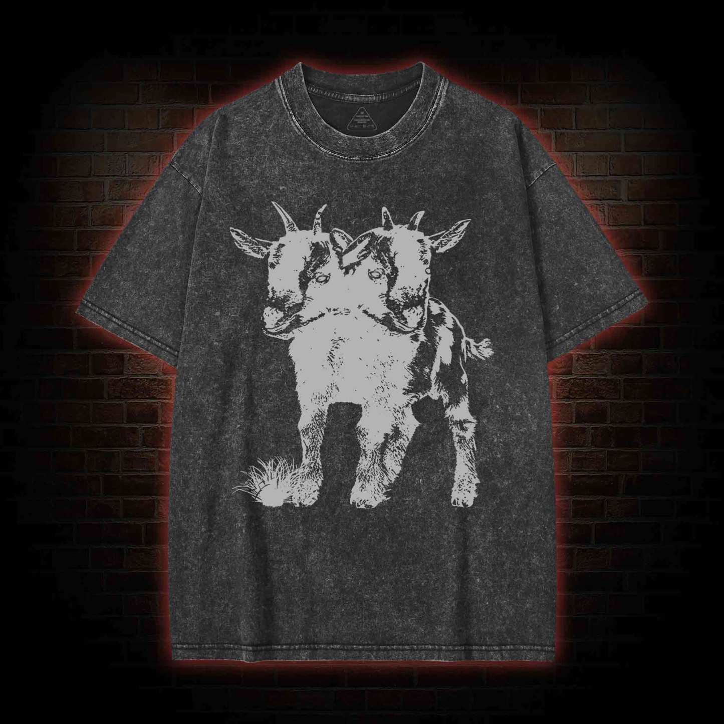 Two Headed Goat Washed T-shirt