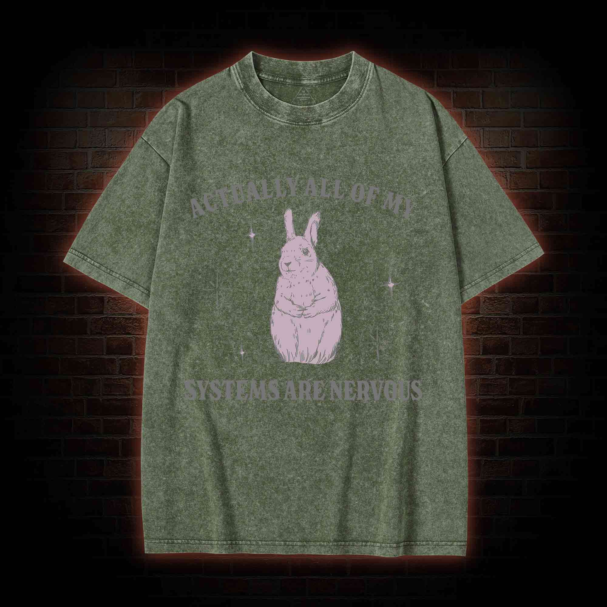 All Of My System Are Nervous Washed T-shirt