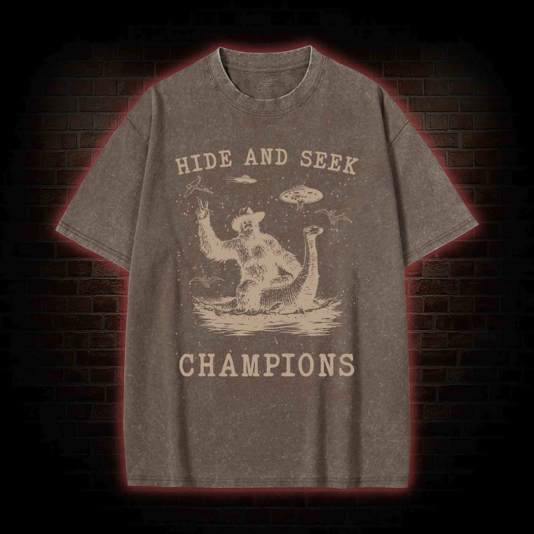 Hide & Seek Champion Washed T-shirt