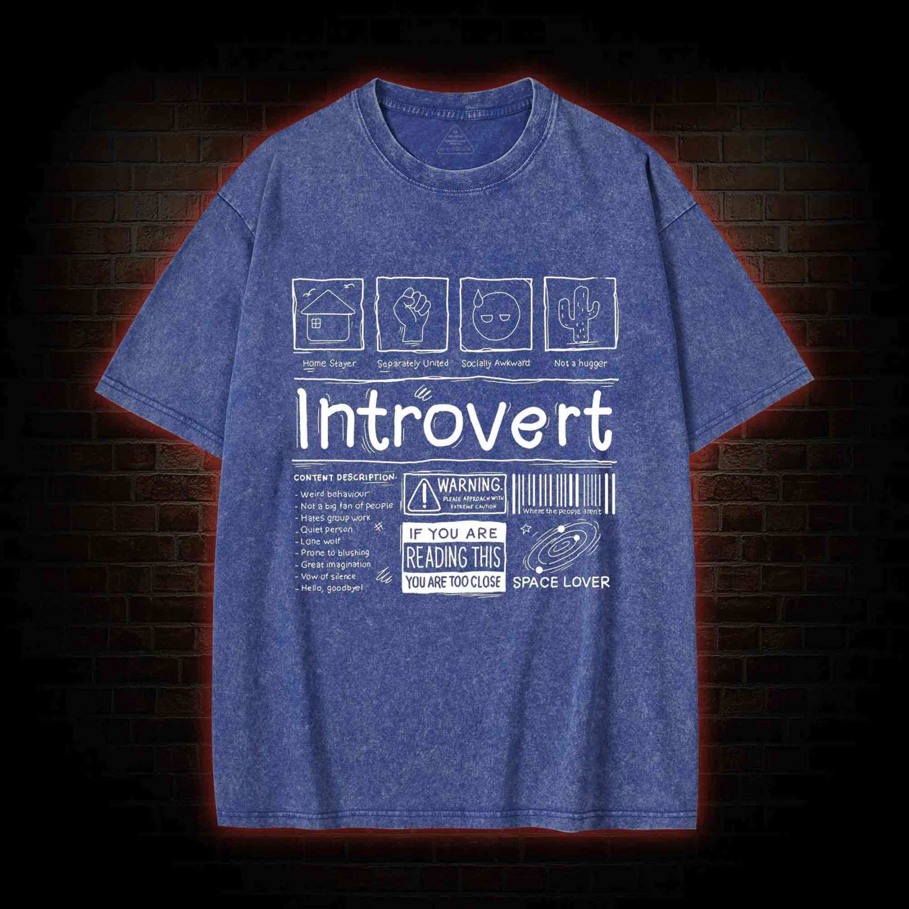 Introvert Washed T-shirt