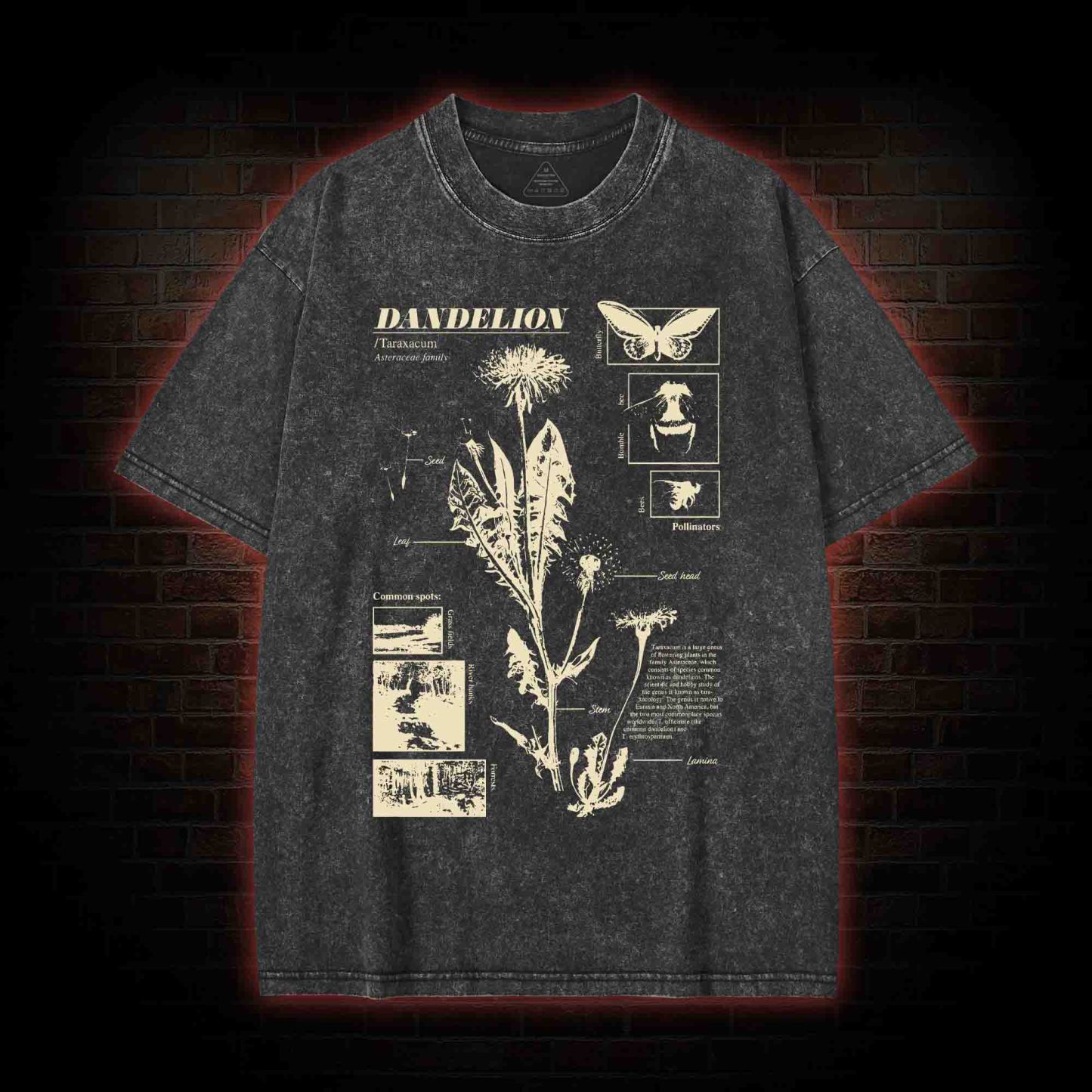 Dandelion Washed T-shirt