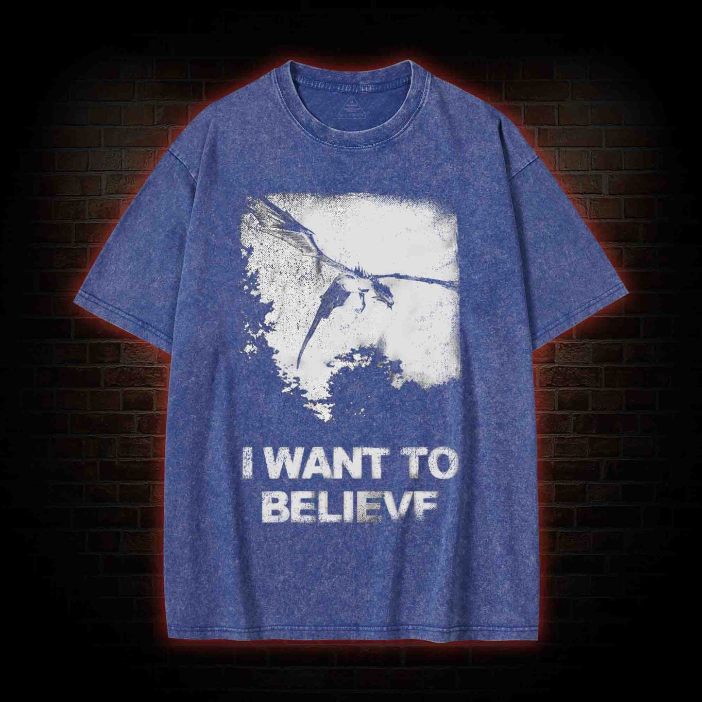 2507 Washed T-shirt