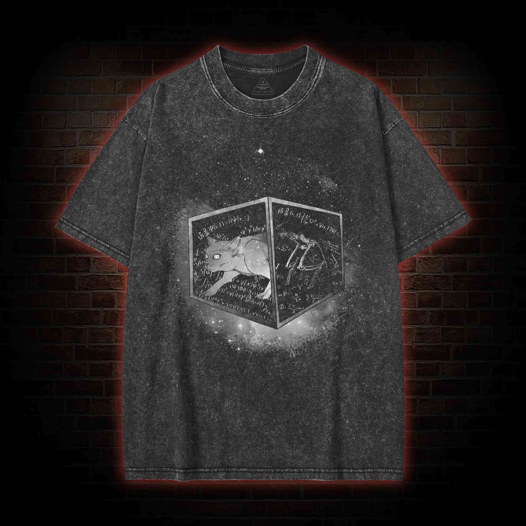 Schrodinger's Cat Washed T-shirt