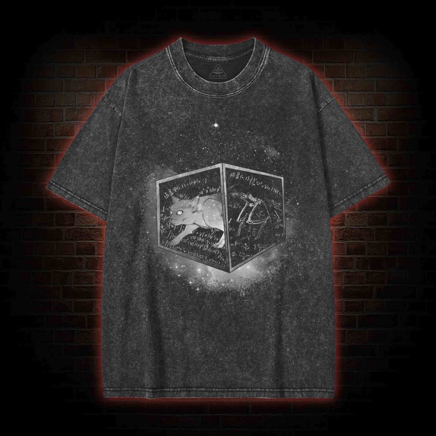 Schrodinger's Cat Washed T-shirt