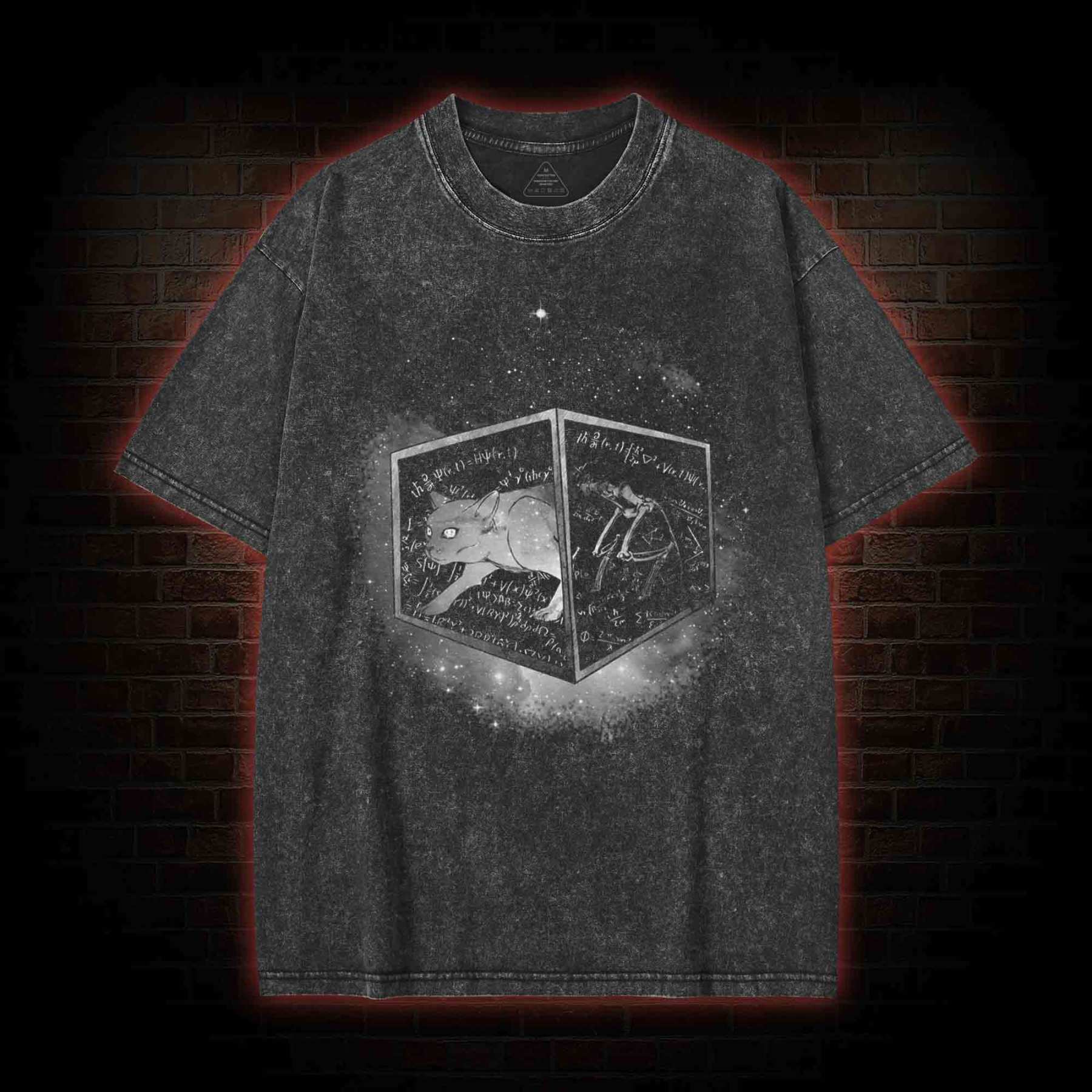 Schrodinger's Cat Washed T-shirt