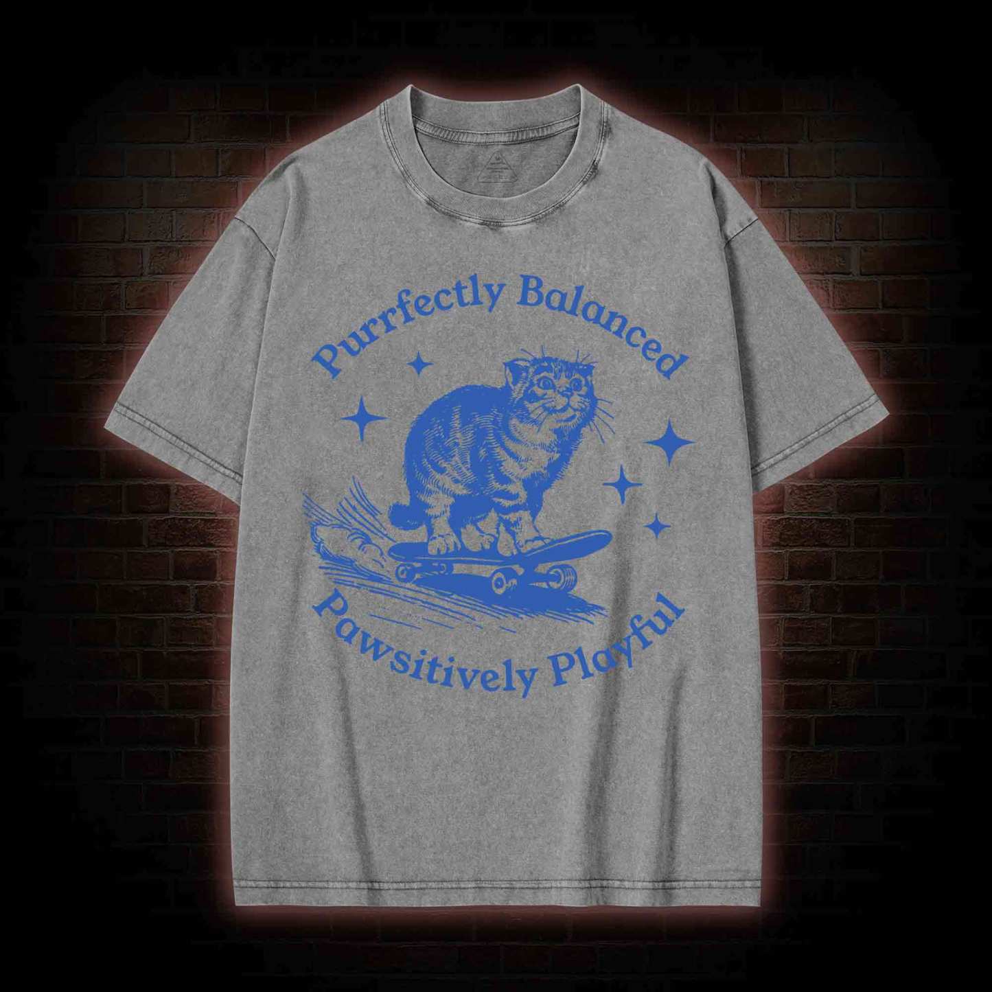 Purrfectly Balanced Washed T-shirt