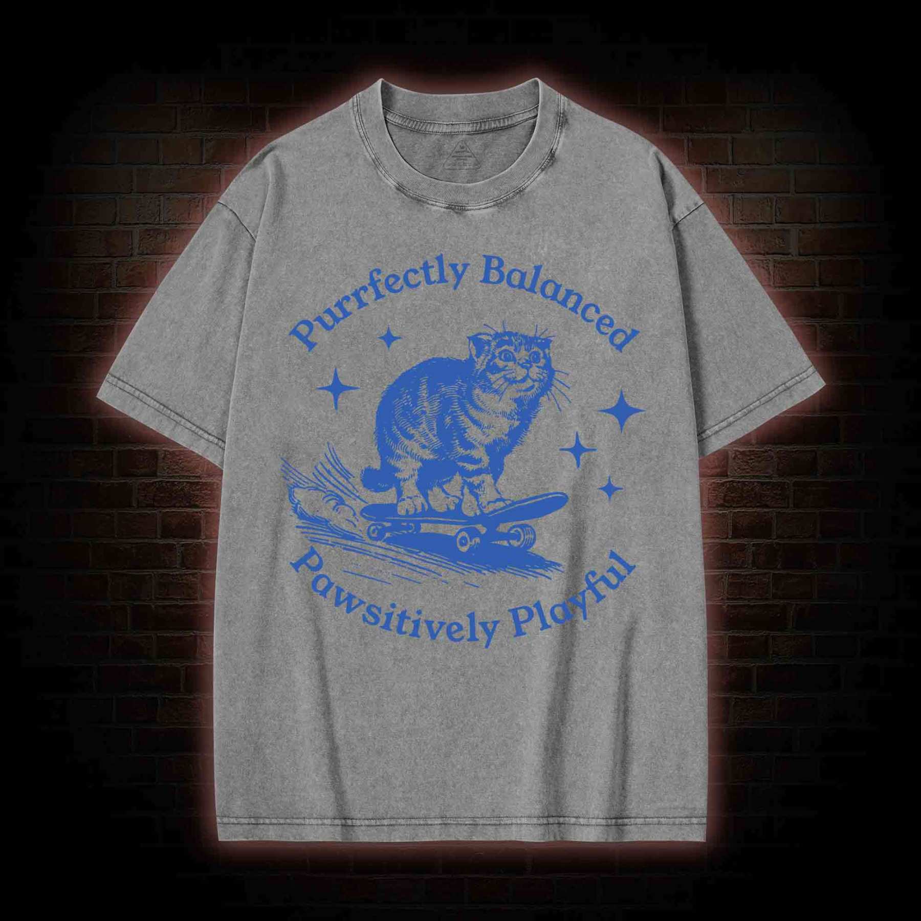 Purrfectly Balanced Washed T-shirt