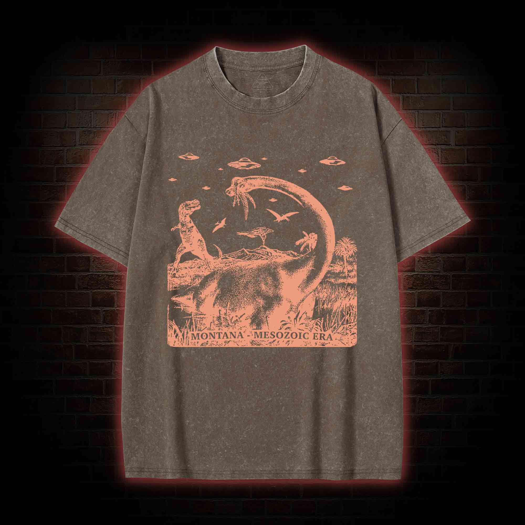Montana Mesozoic Era Washed T-shirt