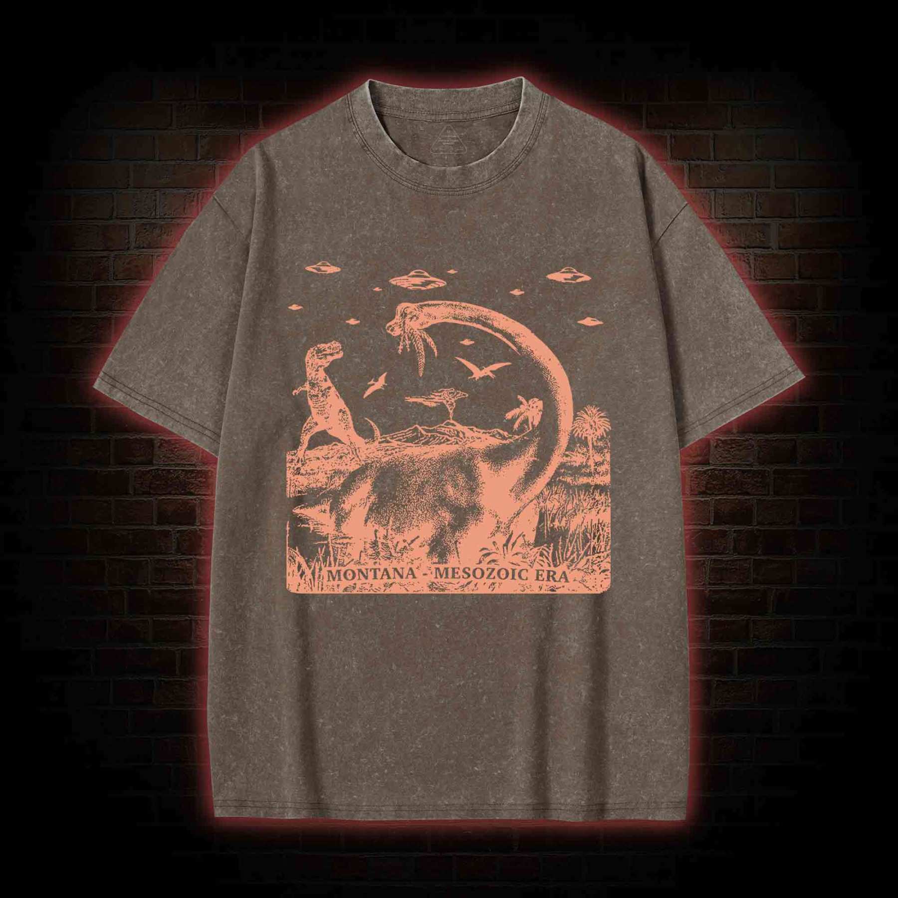 Montana Mesozoic Era Washed T-shirt