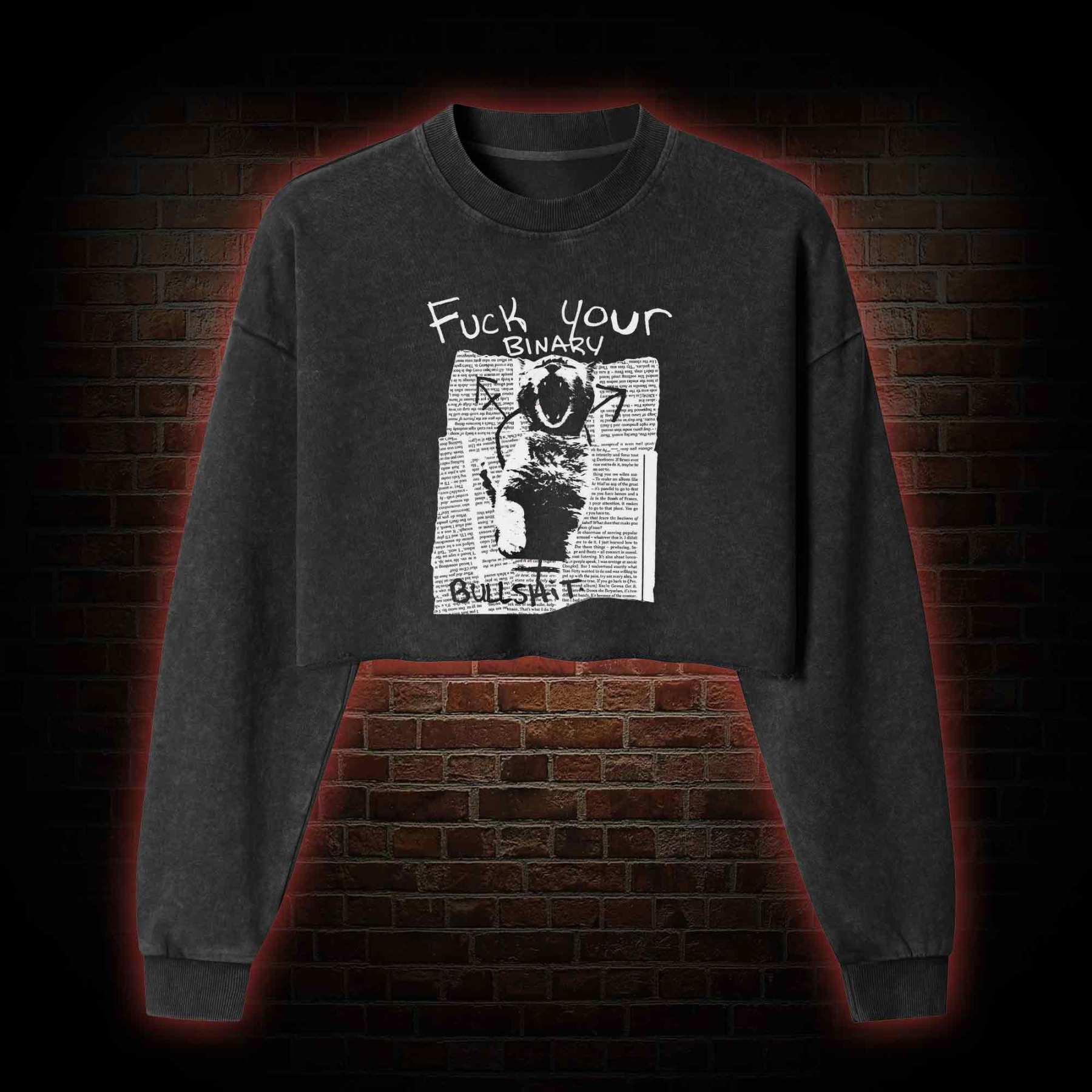 Fuck Your Binary Washed Cropped Sweatshirts