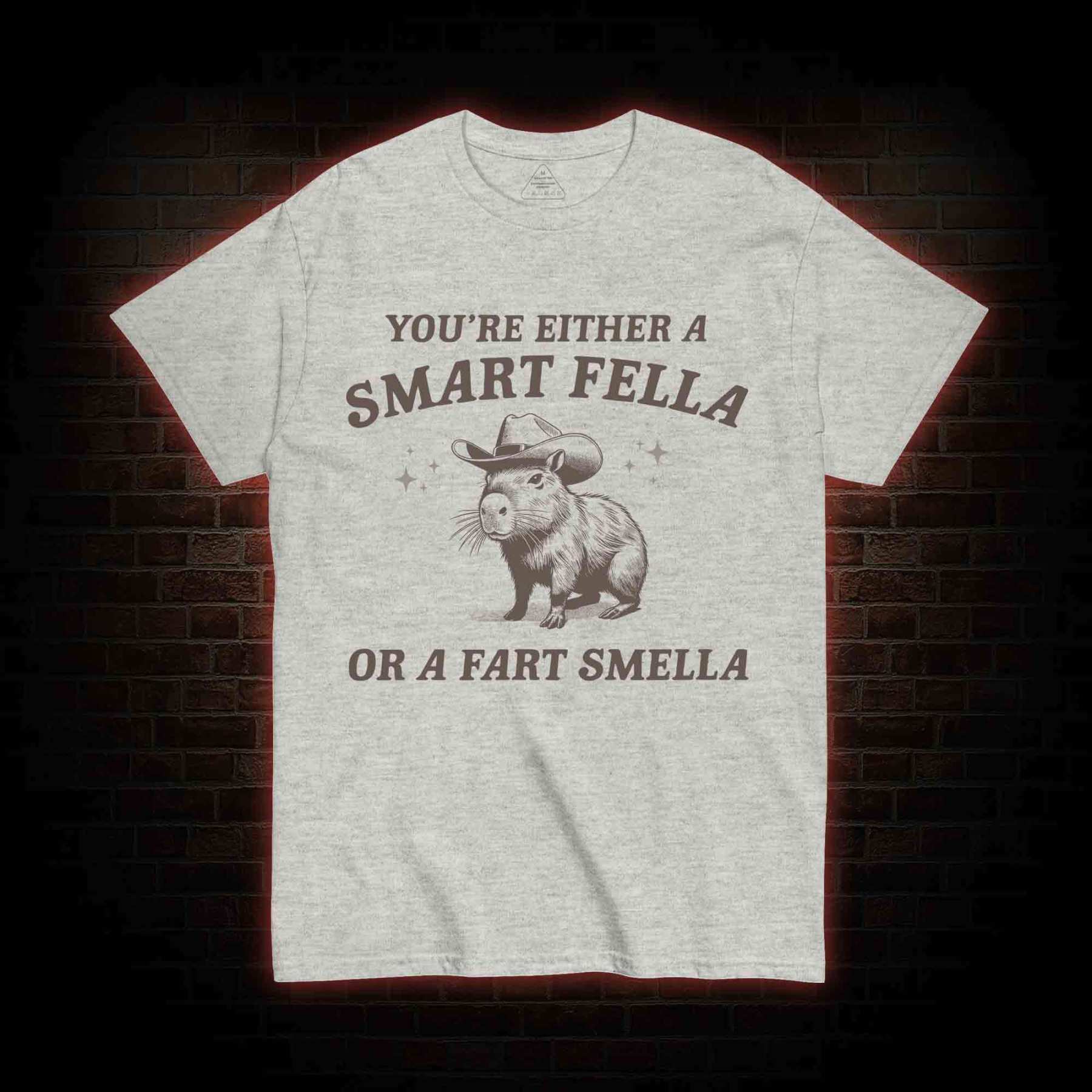 Smart Fella Or Fart Smella T-shirt