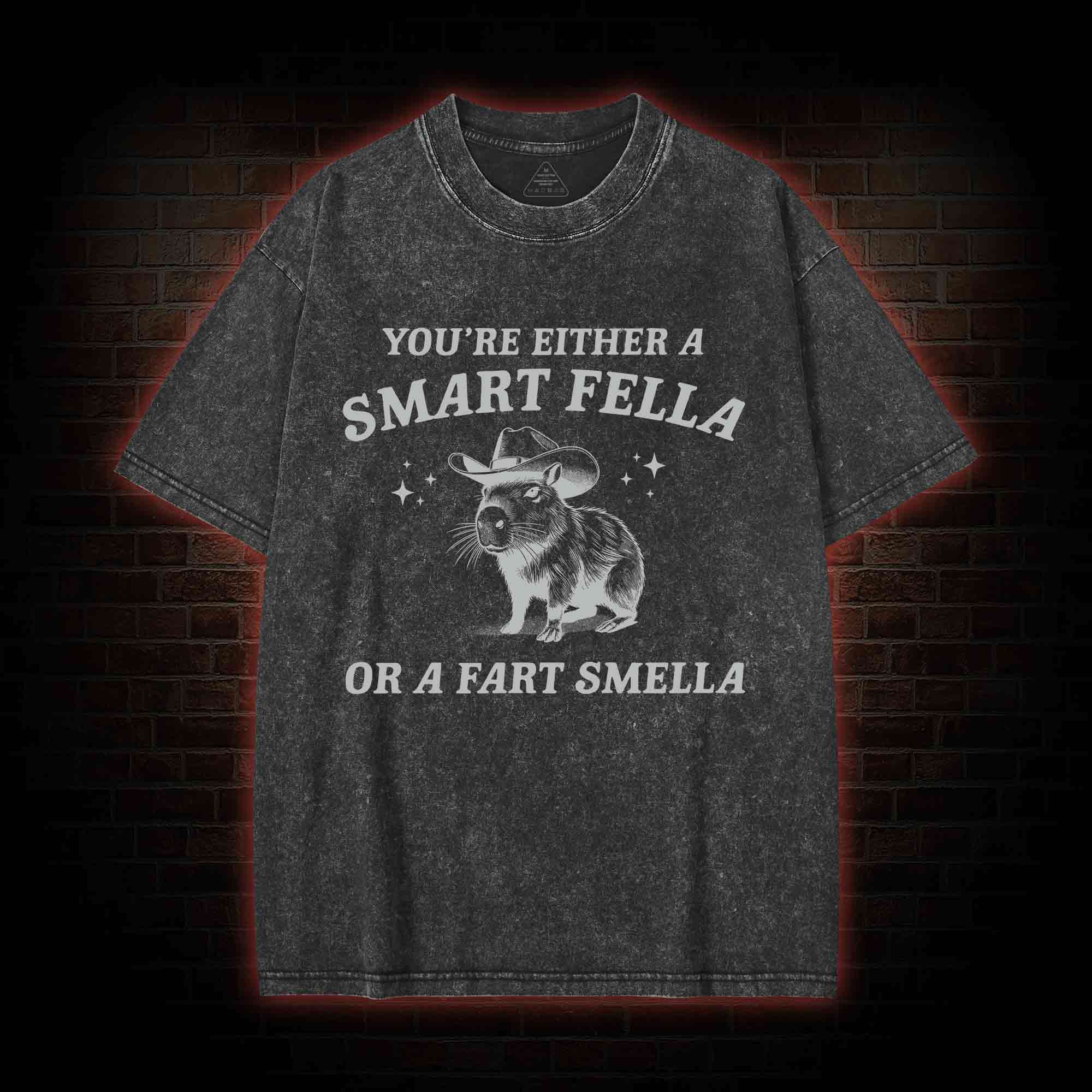 Smart Fella Or Fart Smella Washed T-shirt