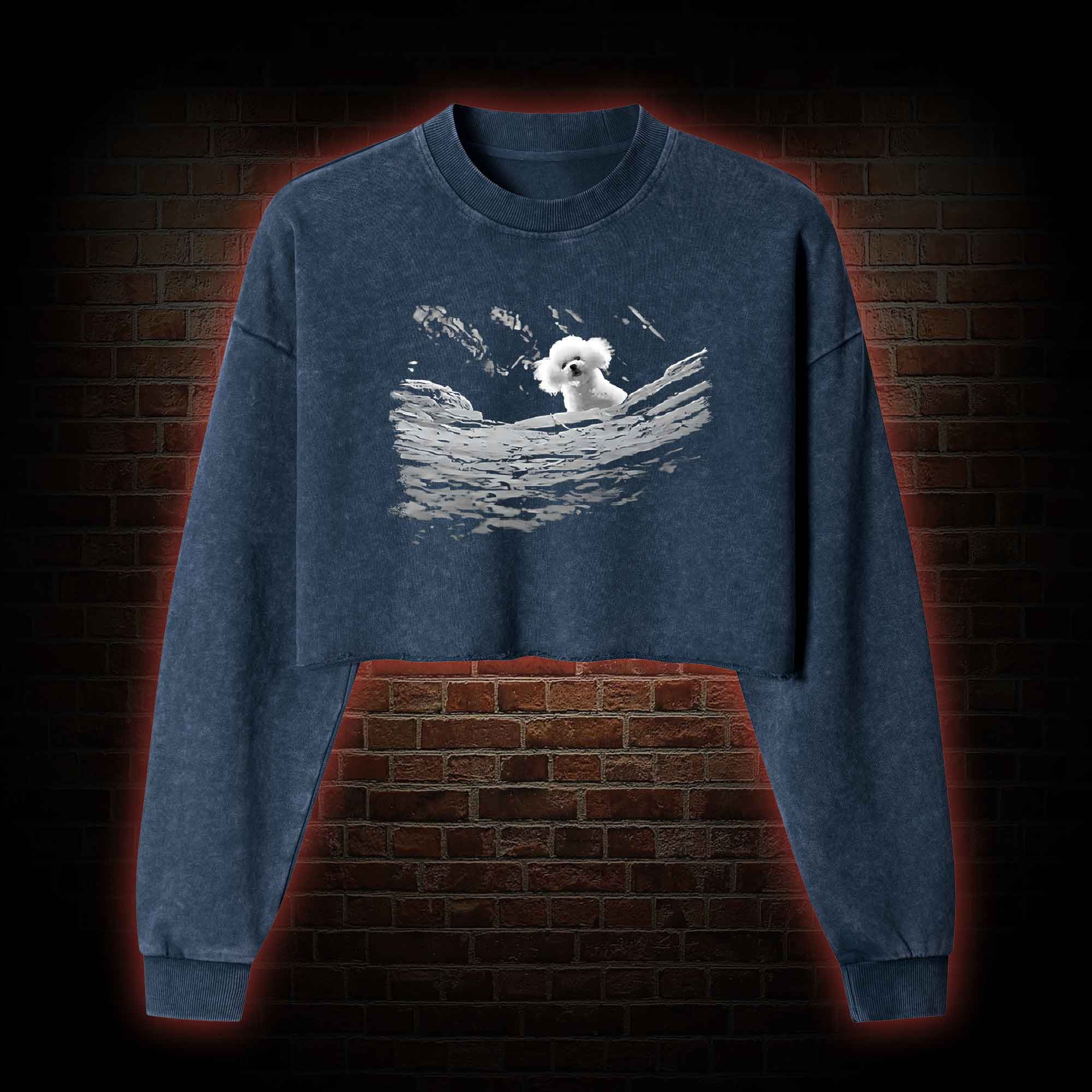 Precious Dog Washed Cropped Sweatshirts