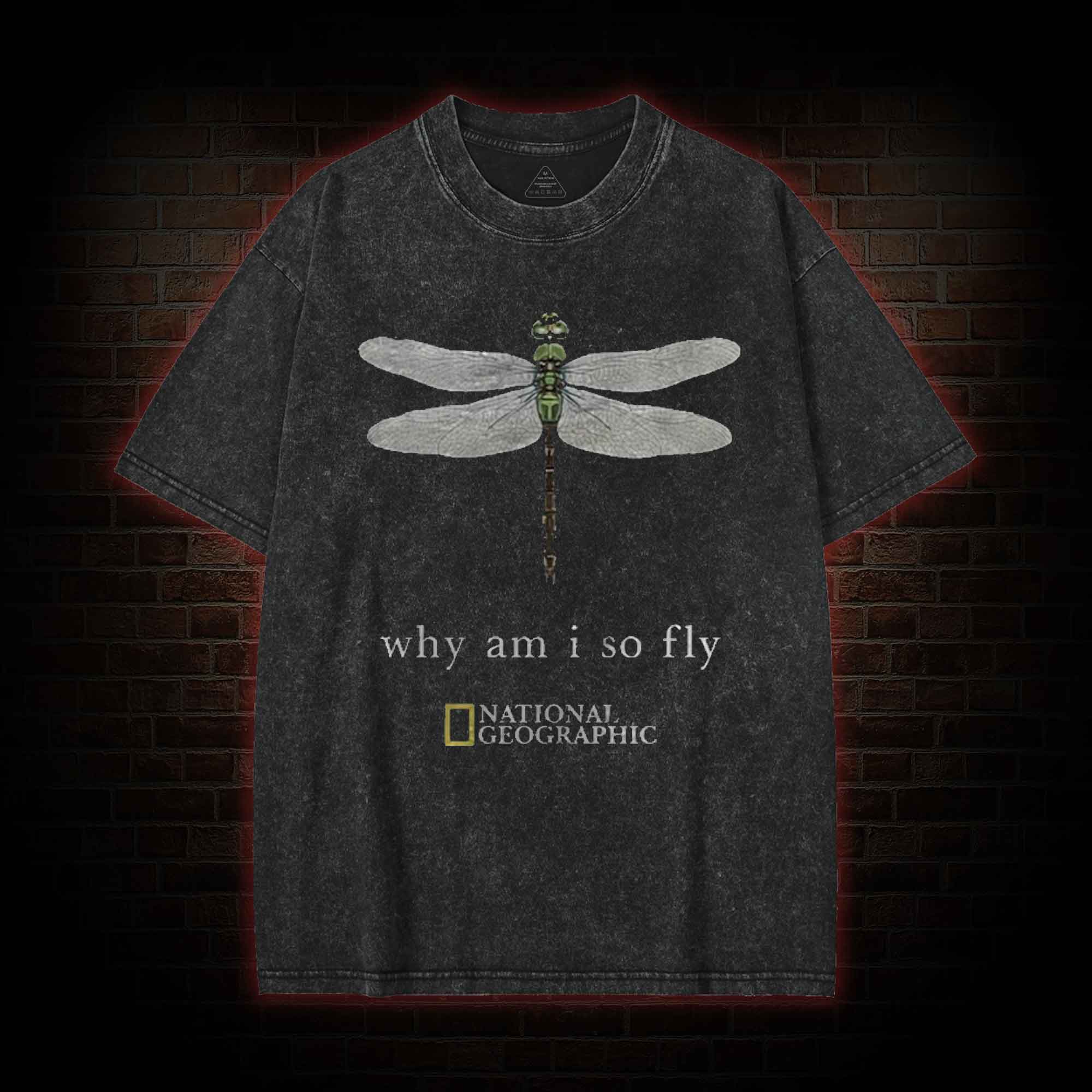 Why am I So Fly Washed T-shirt