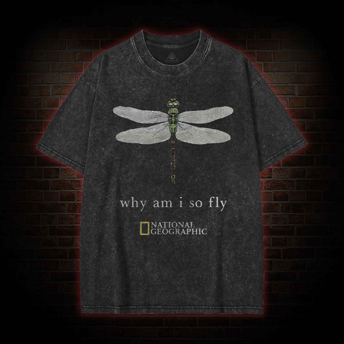 Why am I So Fly Washed T-shirt