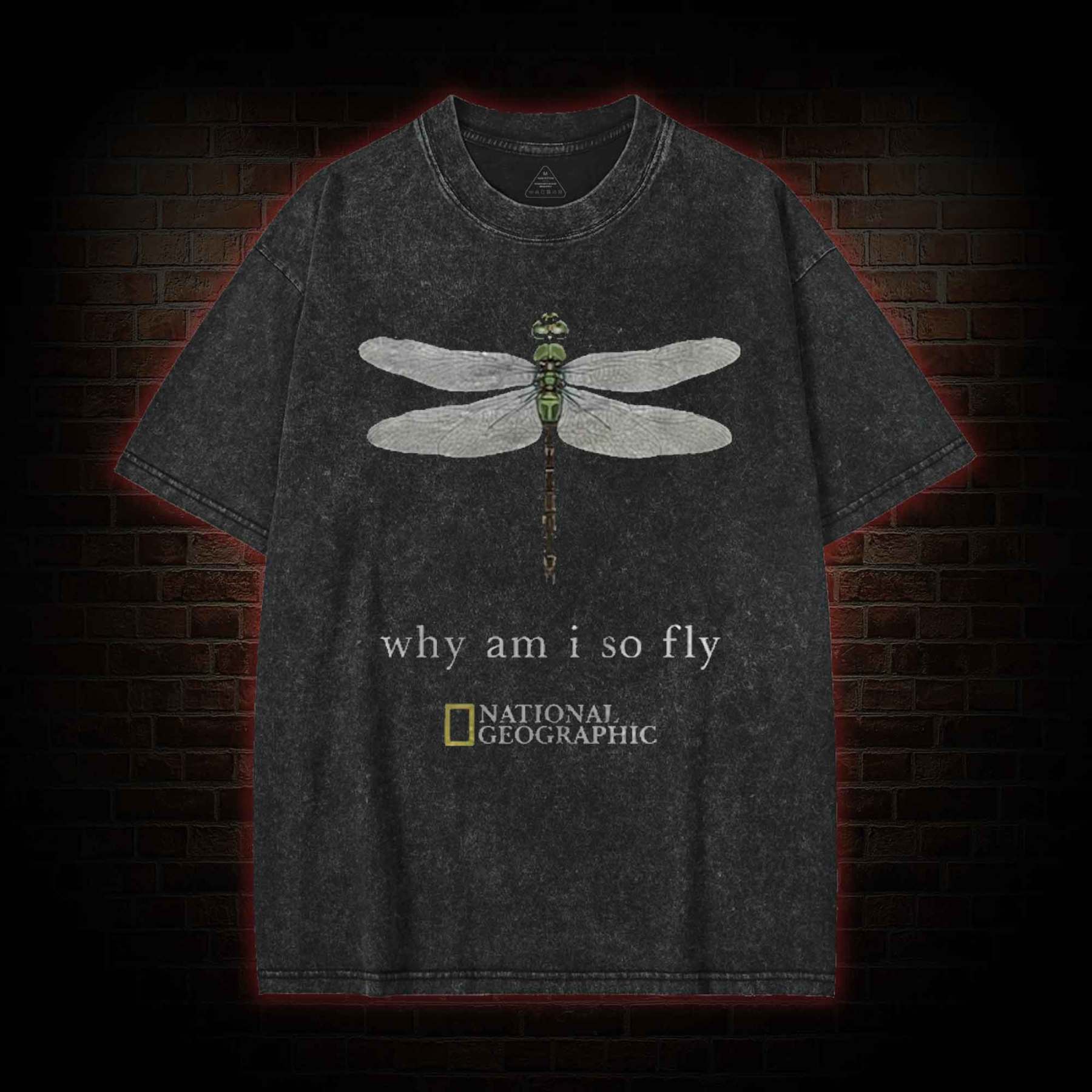 Why am I So Fly Washed T-shirt