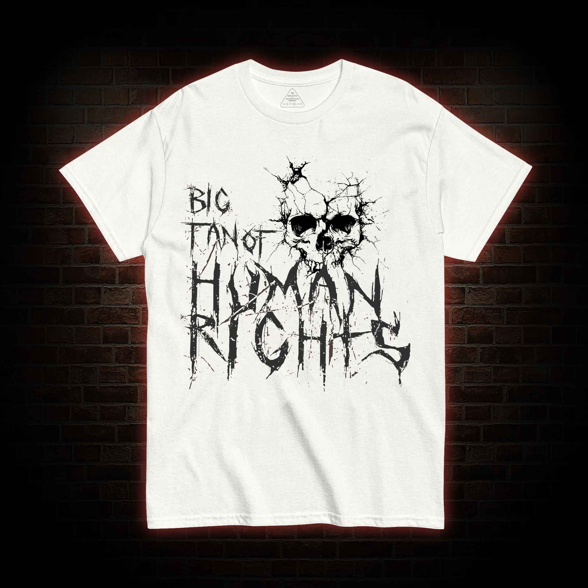 Big Fan of Human Rights T-shirt
