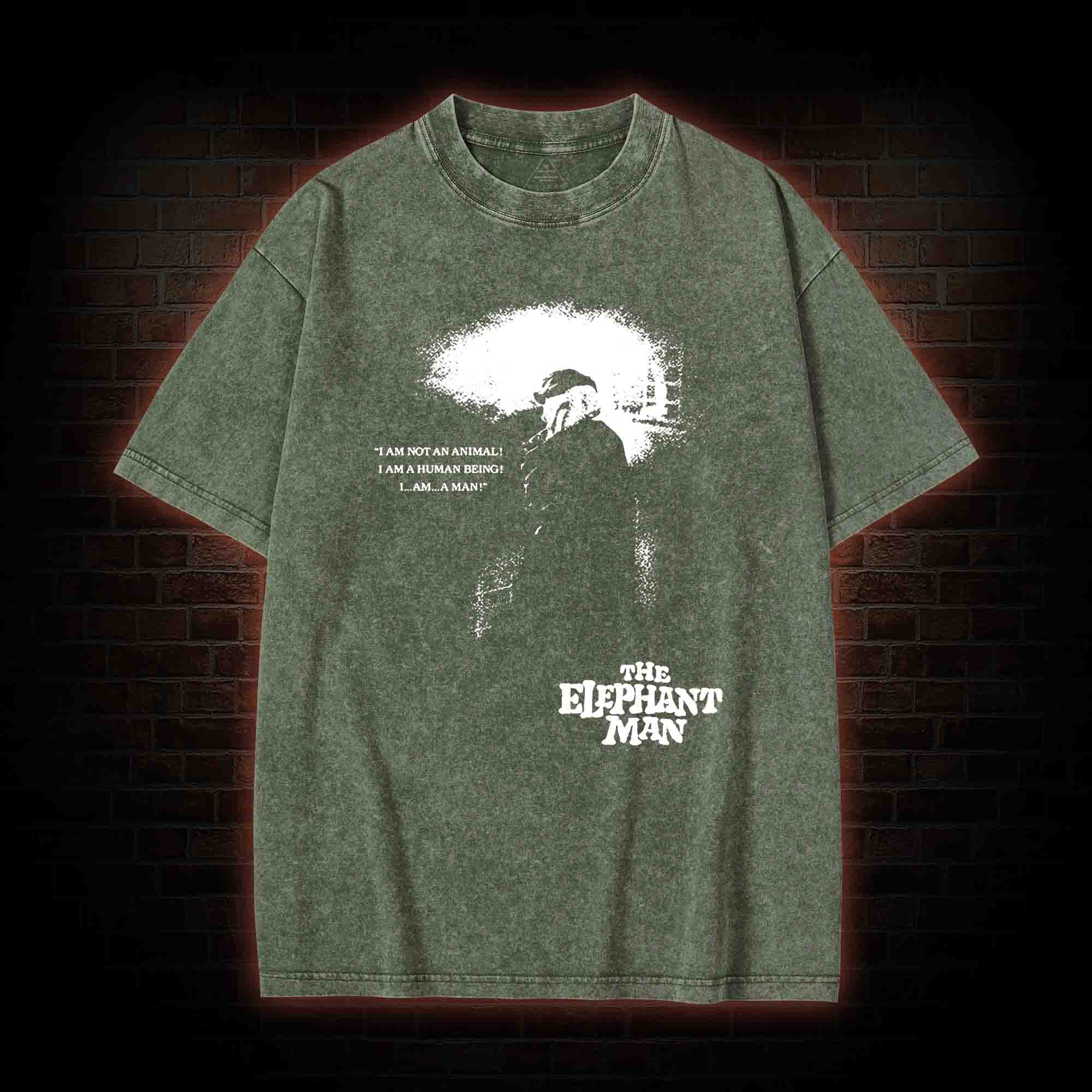 I am a Human Being Washed T-shirt