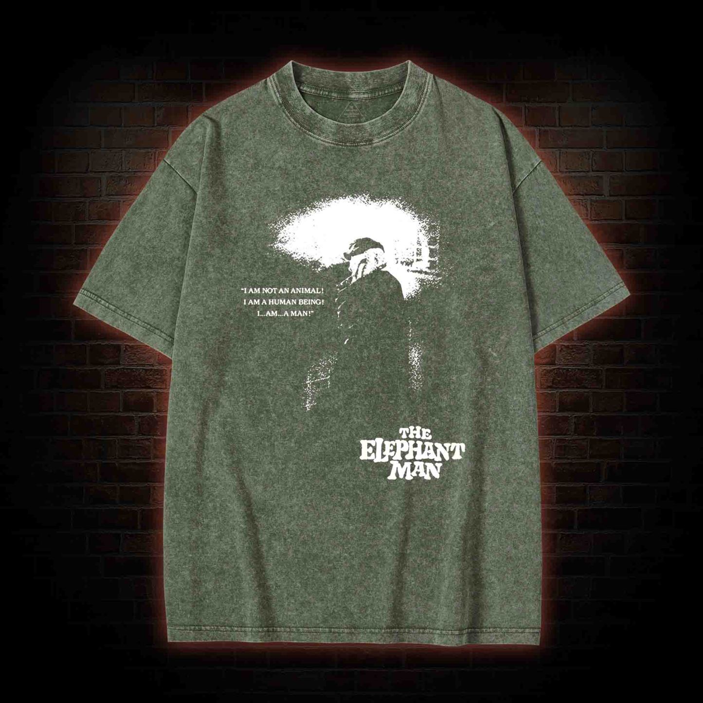 I am a Human Being Washed T-shirt