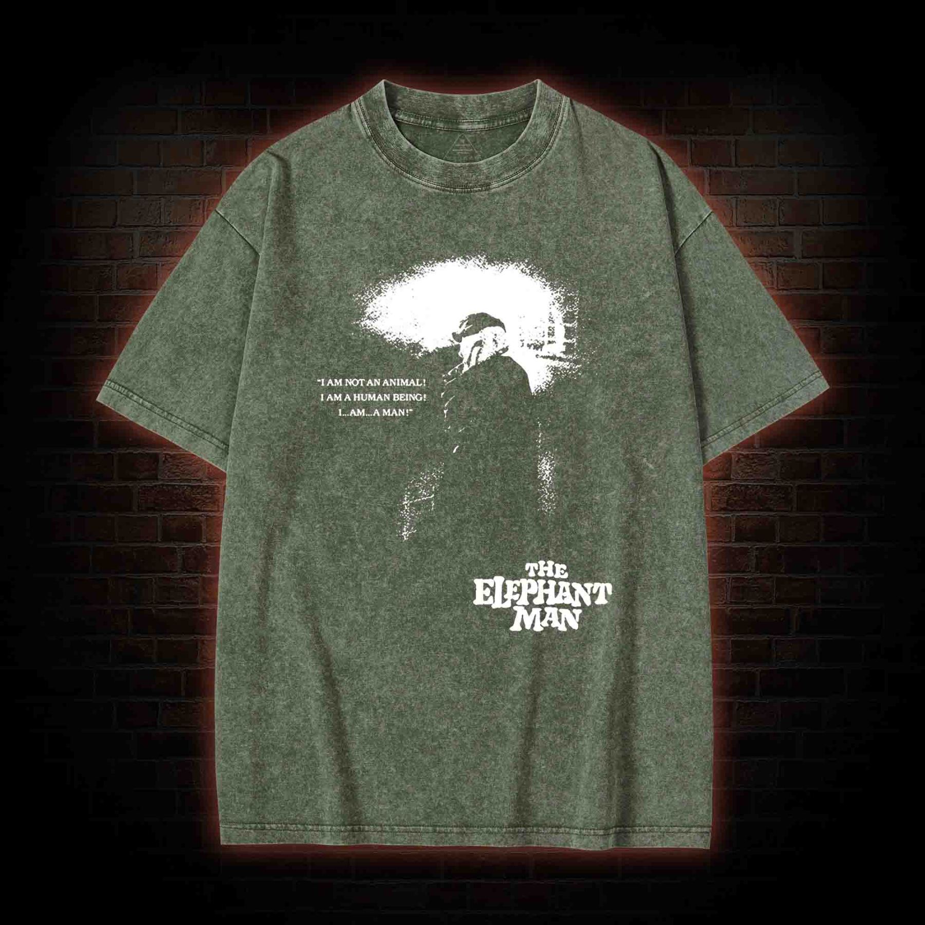 I am a Human Being Washed T-shirt