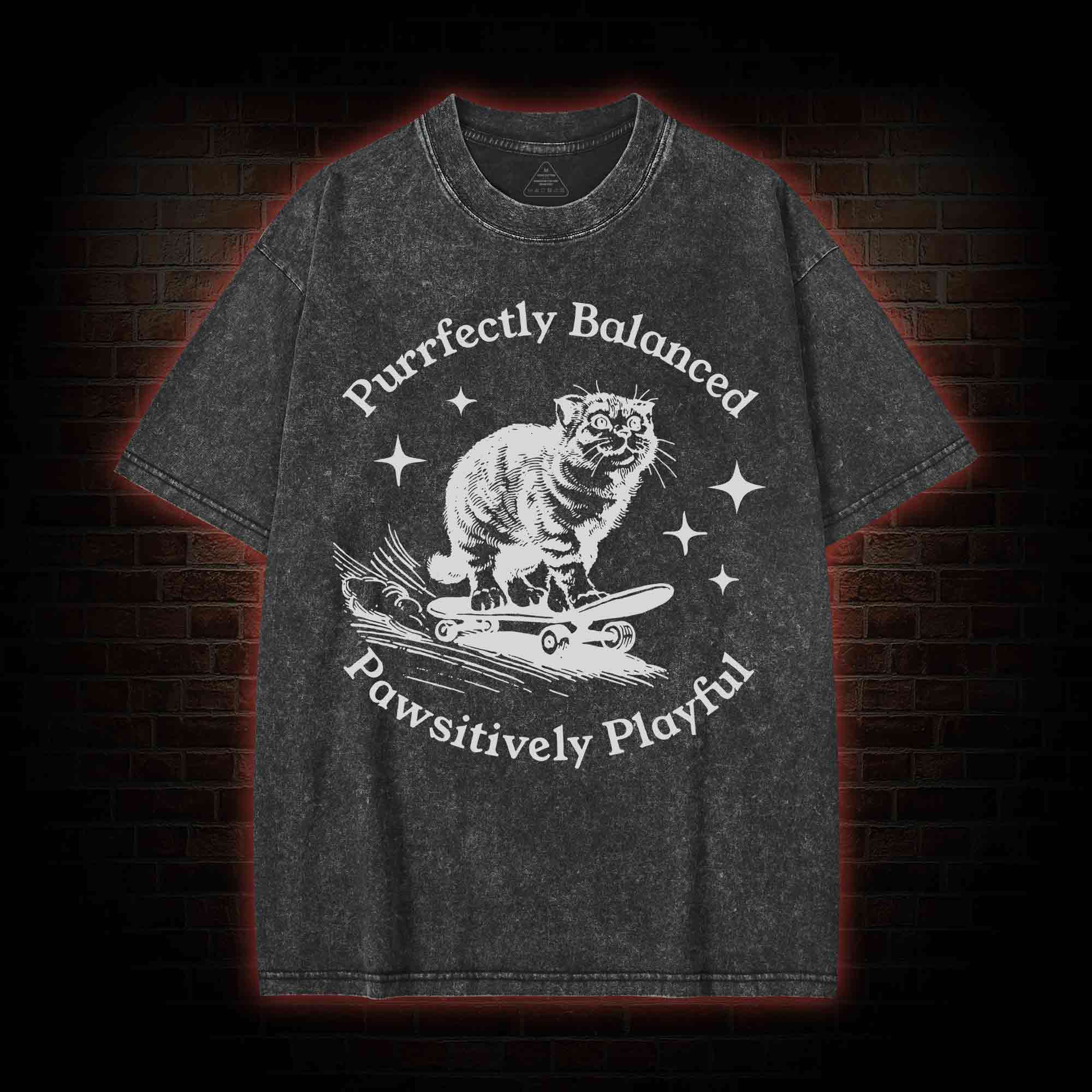 Purrfectly Balanced Washed T-shirt