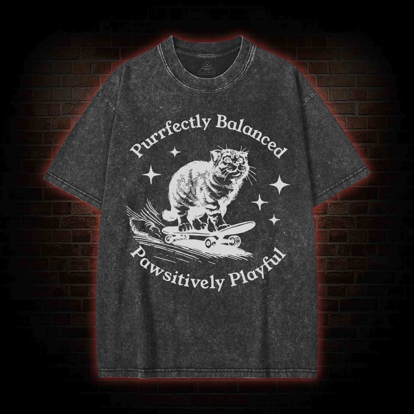 Purrfectly Balanced Washed T-shirt