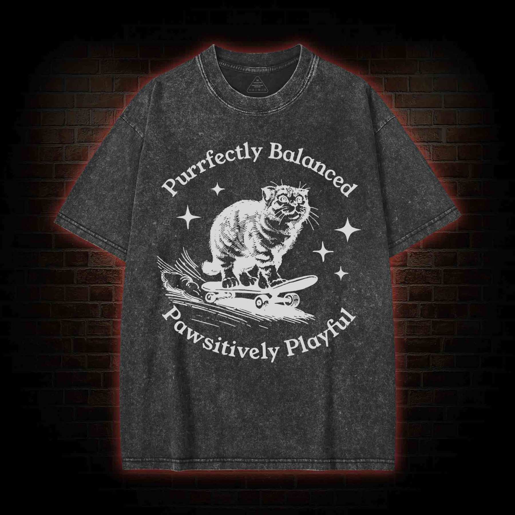 Purrfectly Balanced Washed T-shirt