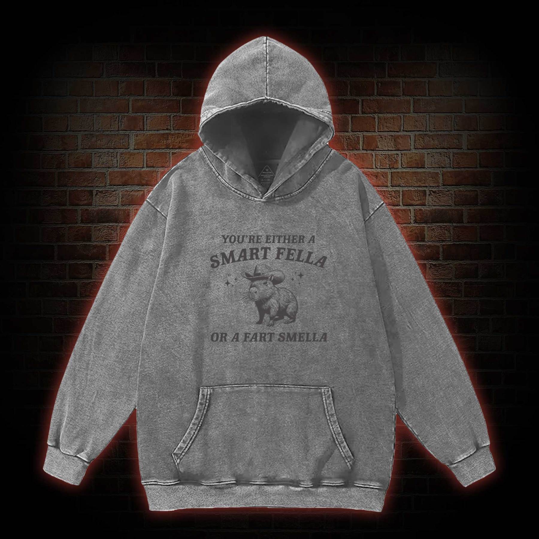 Smart Fella Or Fart Smella Washed Hoodie